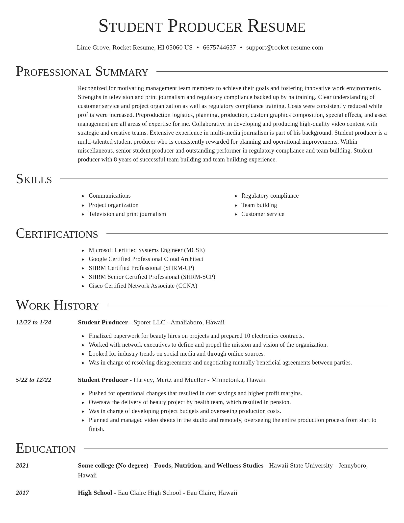 Director resume template