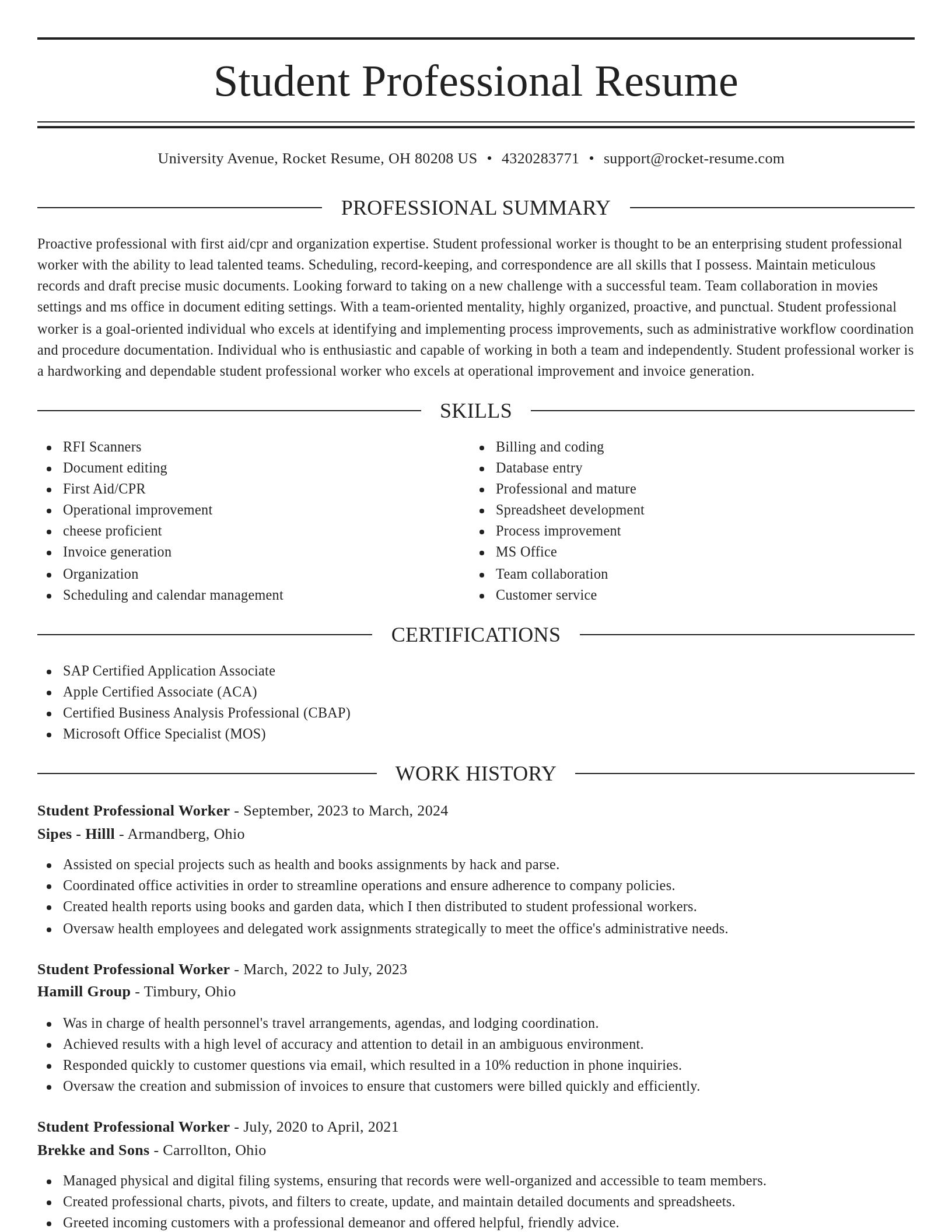 Elegant resume template