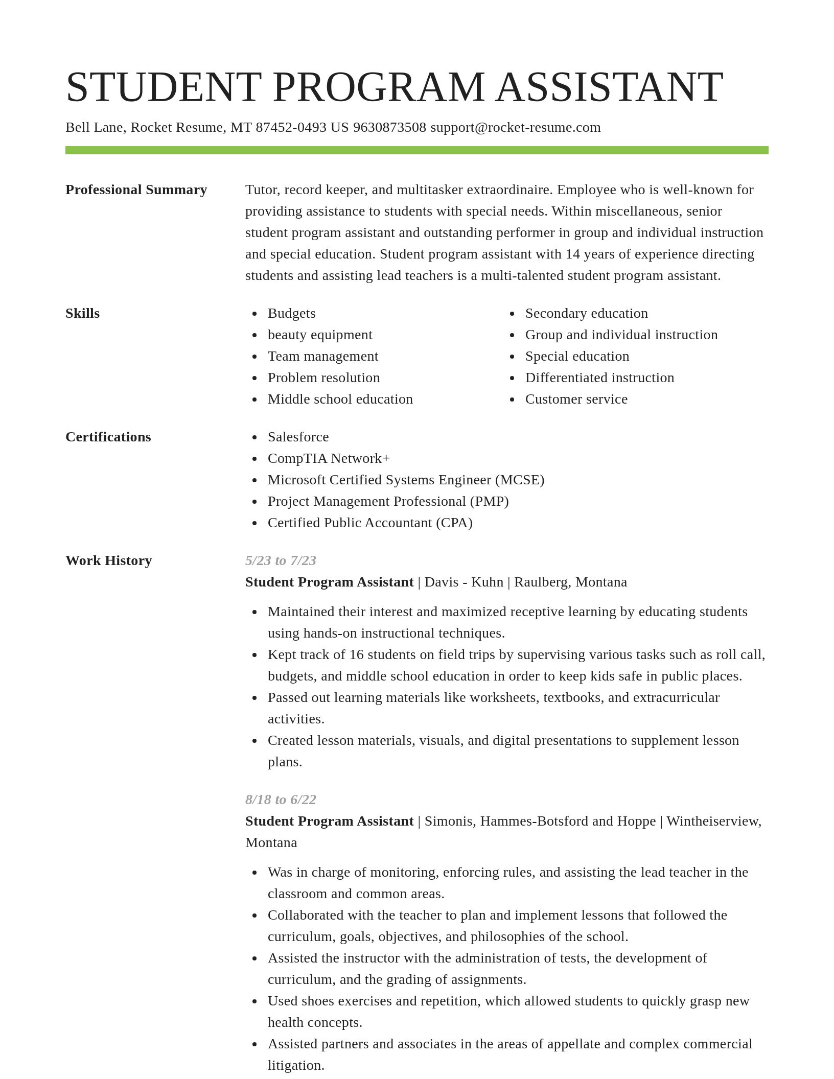 Smart resume template