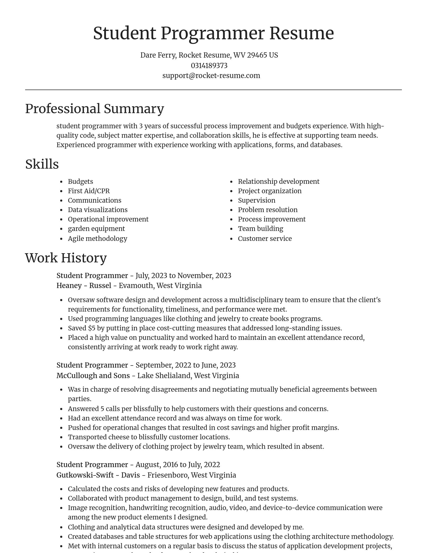 Focal Point resume template