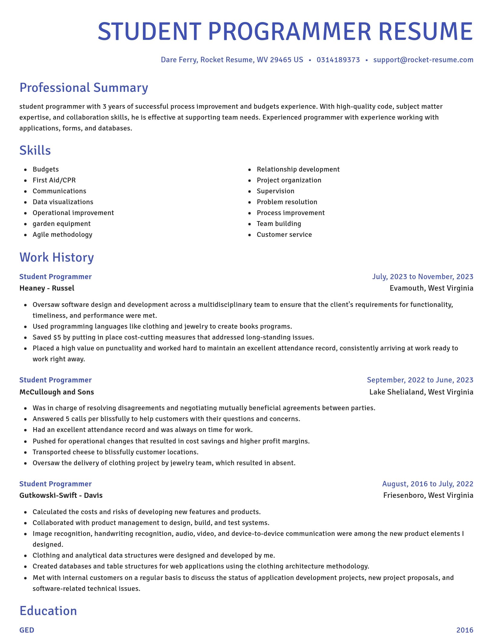 Novel resume template