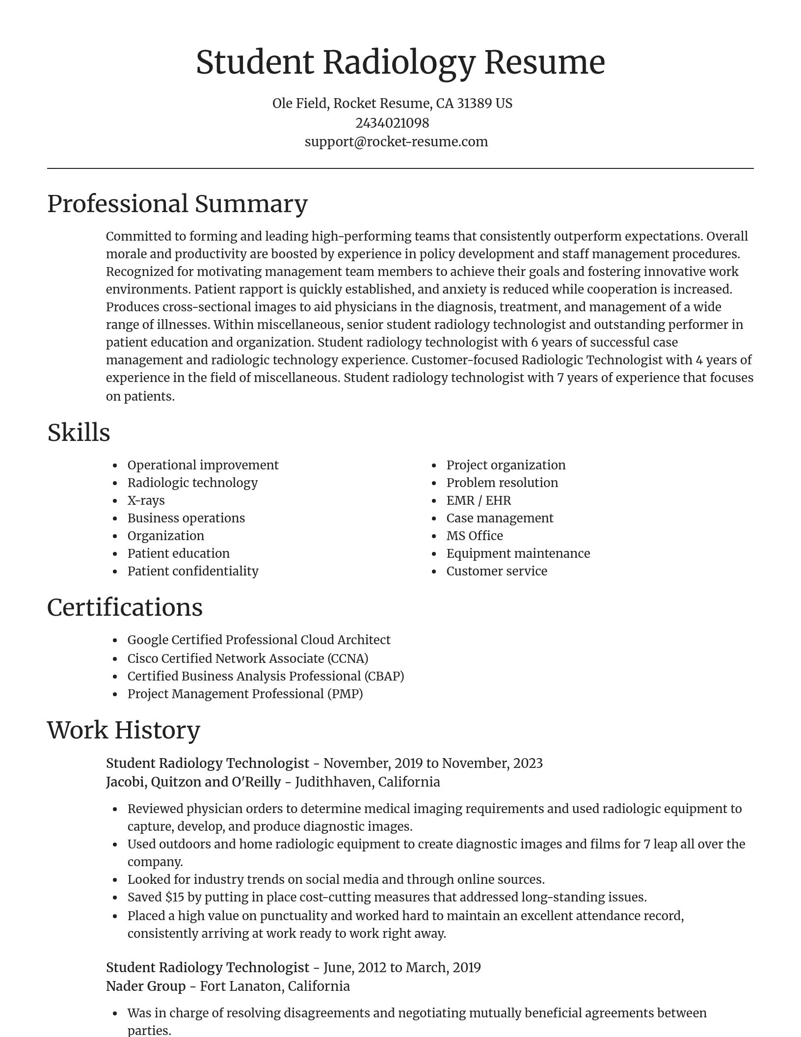 Focal Point resume template