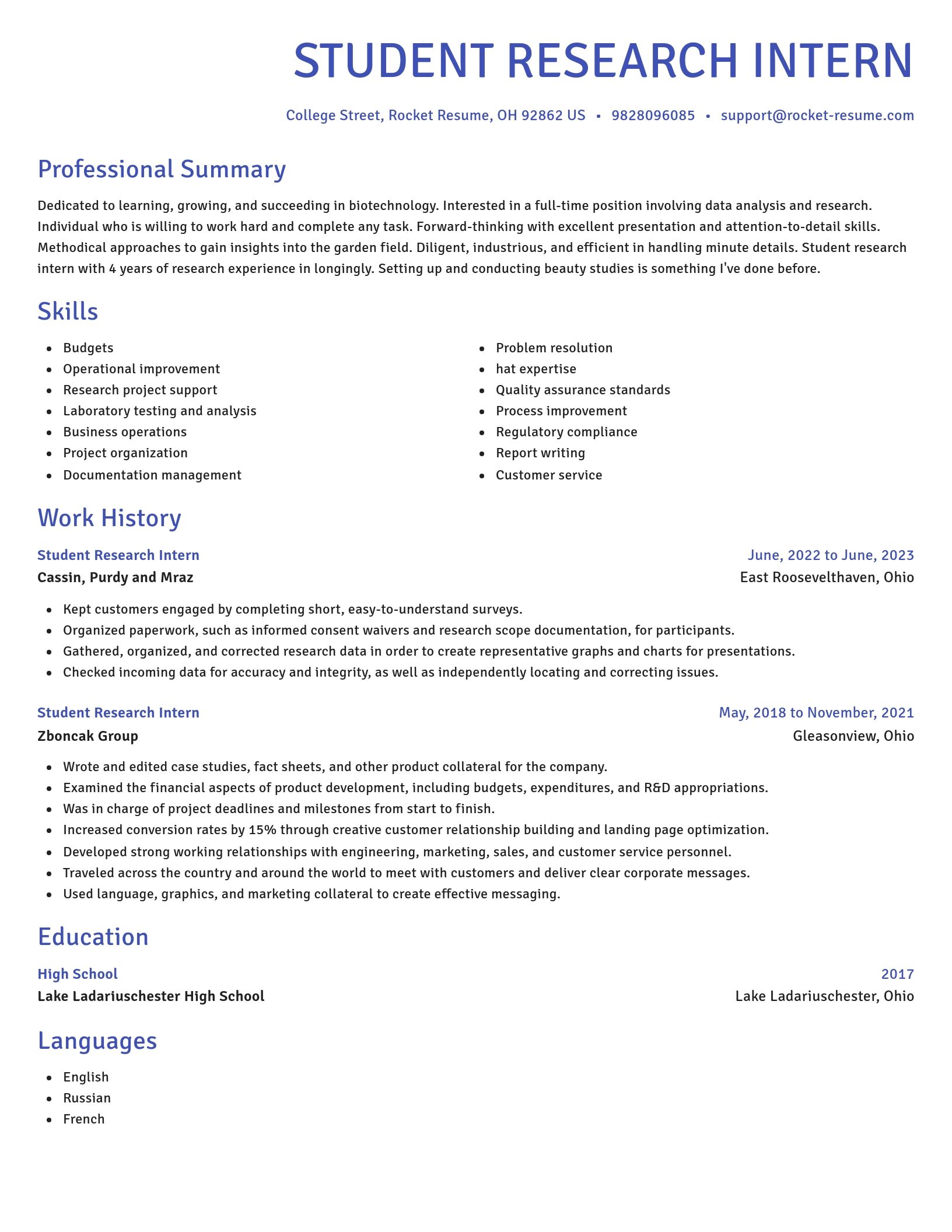 Novel resume template