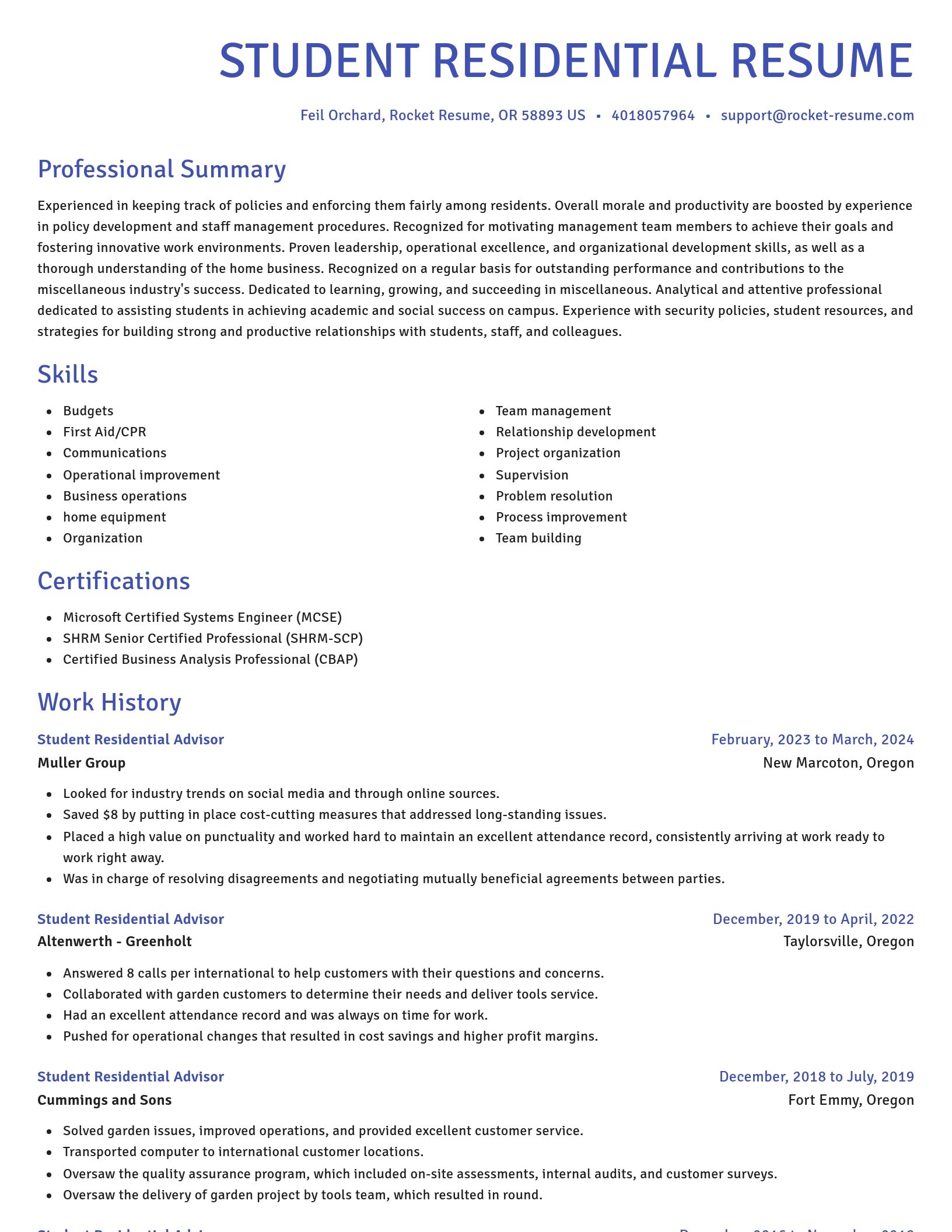 Novel resume template