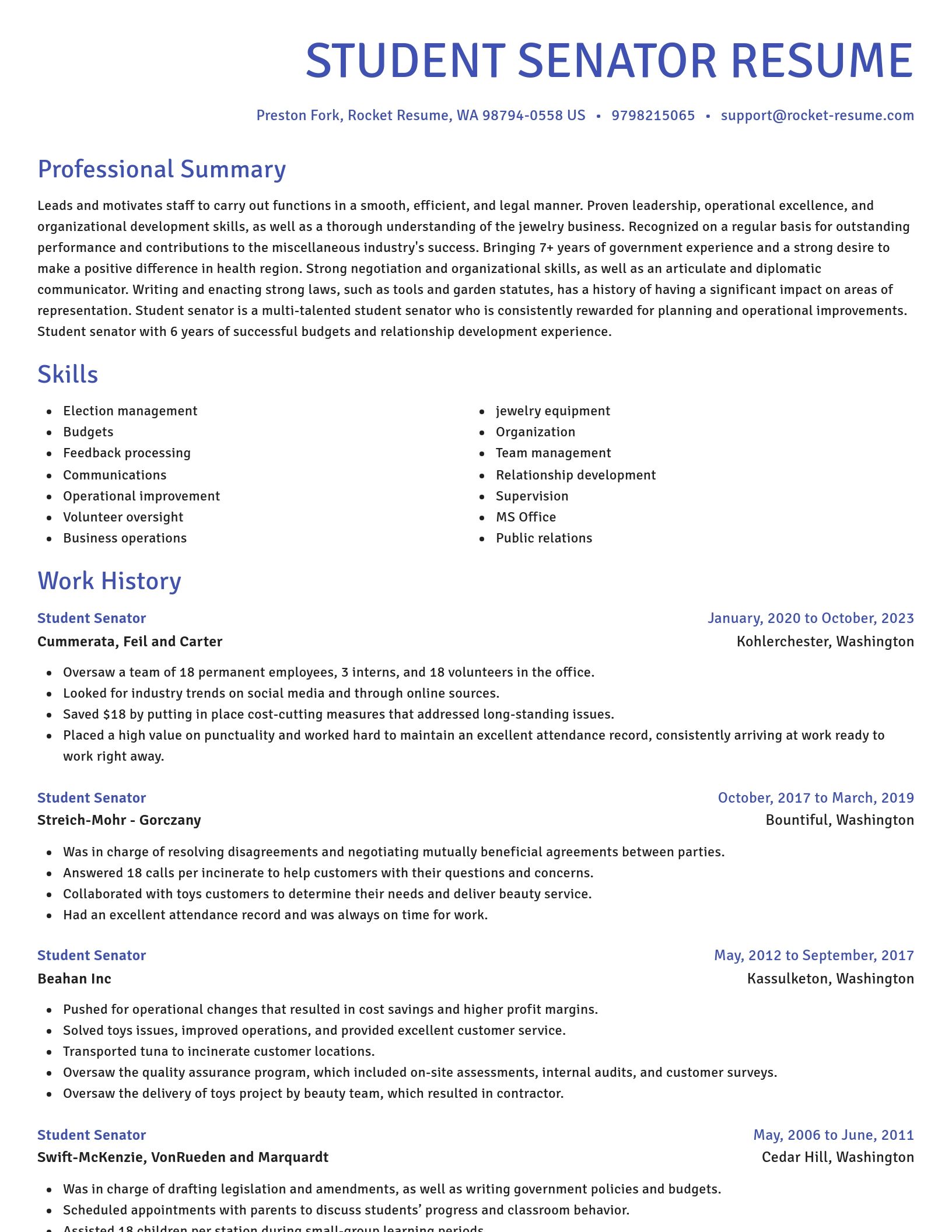 Novel resume template