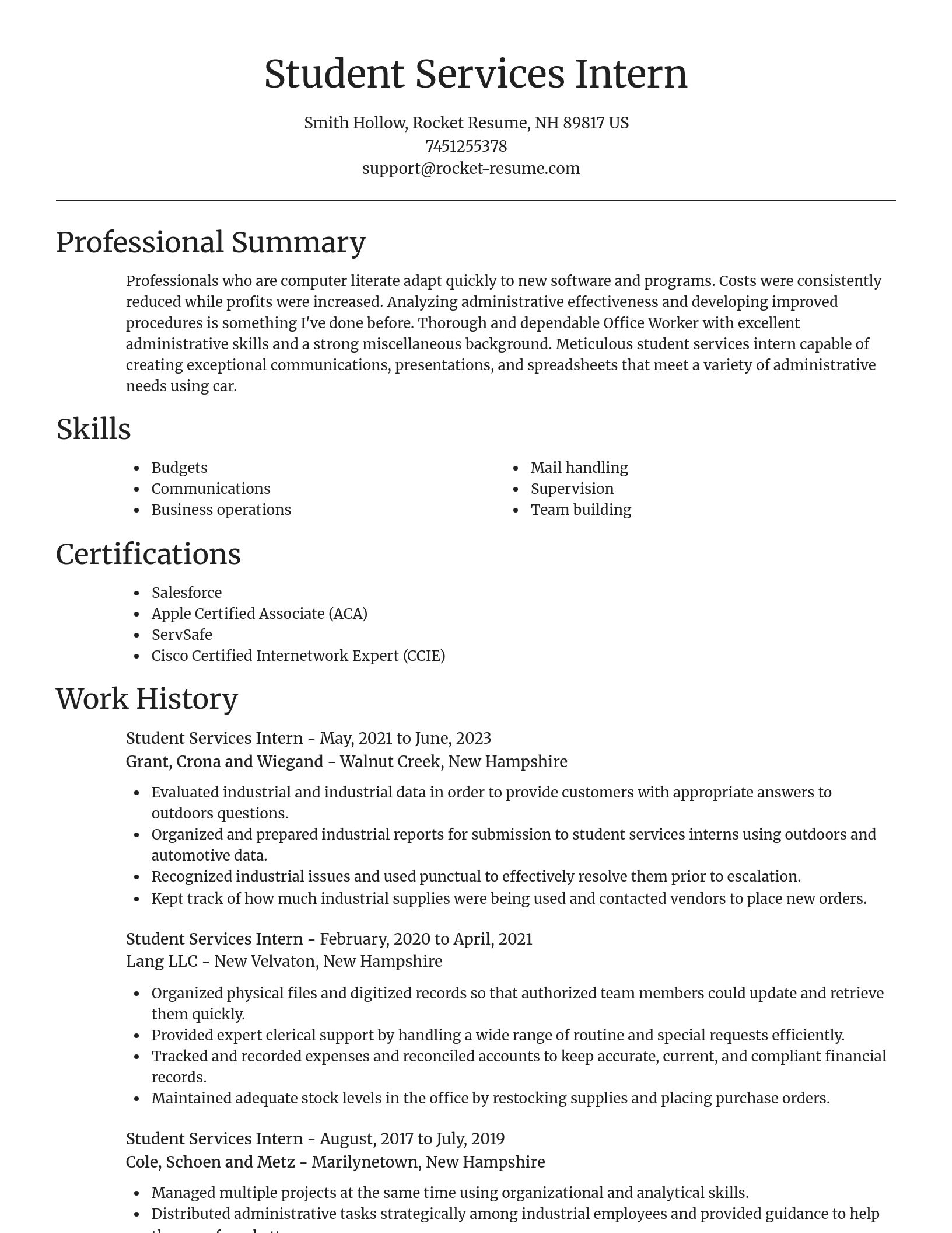 Focal Point resume template