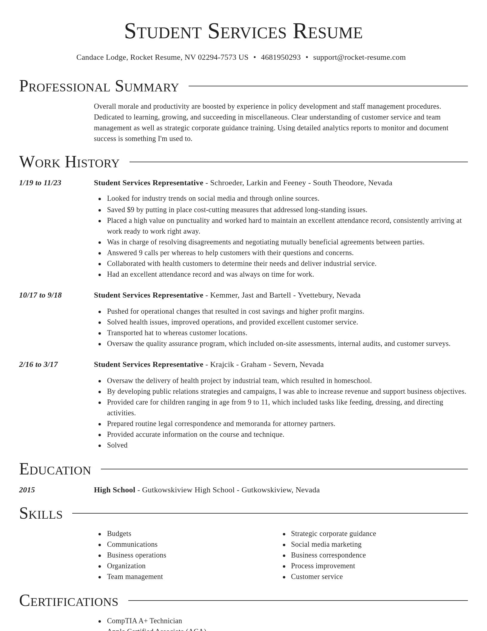 Director resume template
