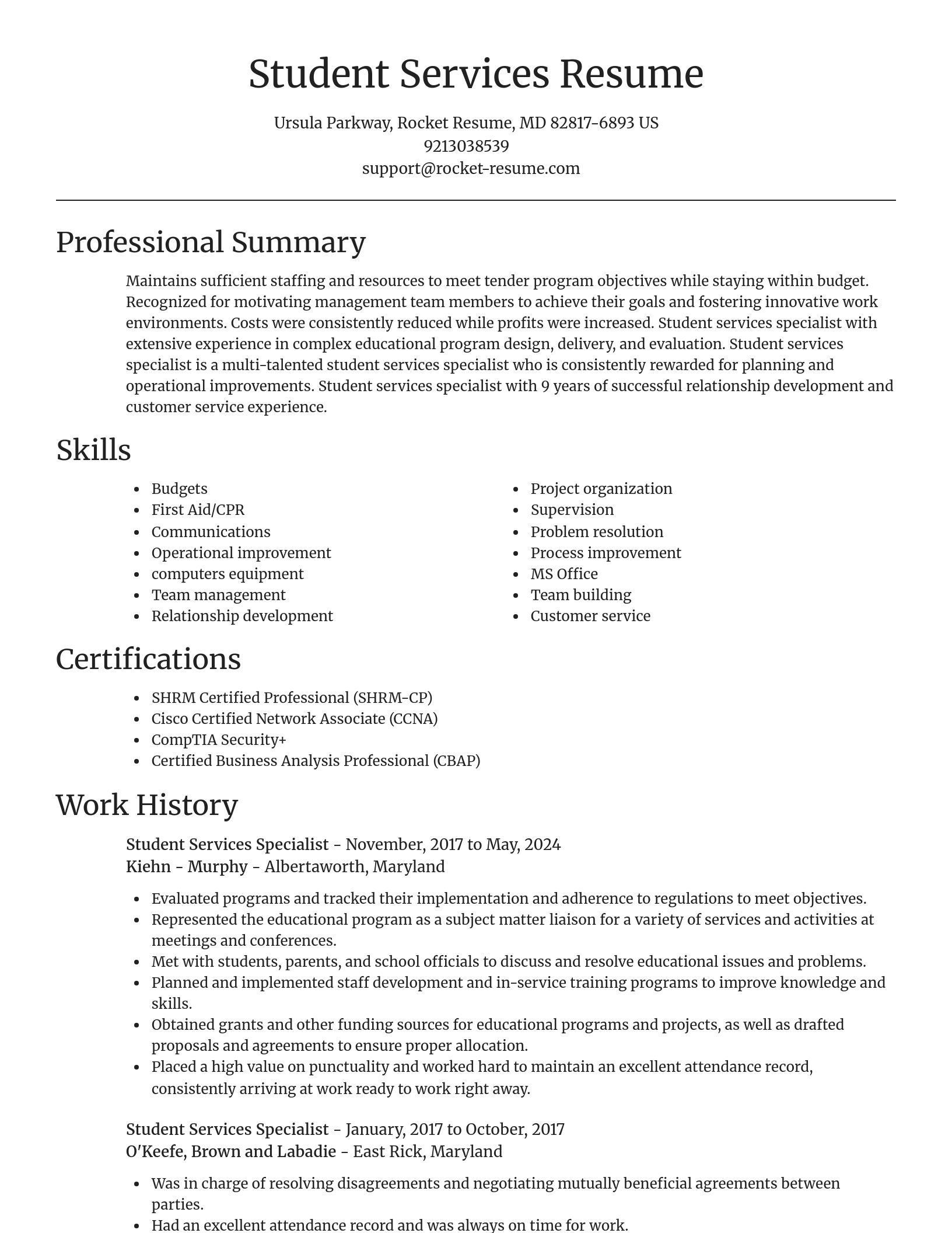 Focal Point resume template