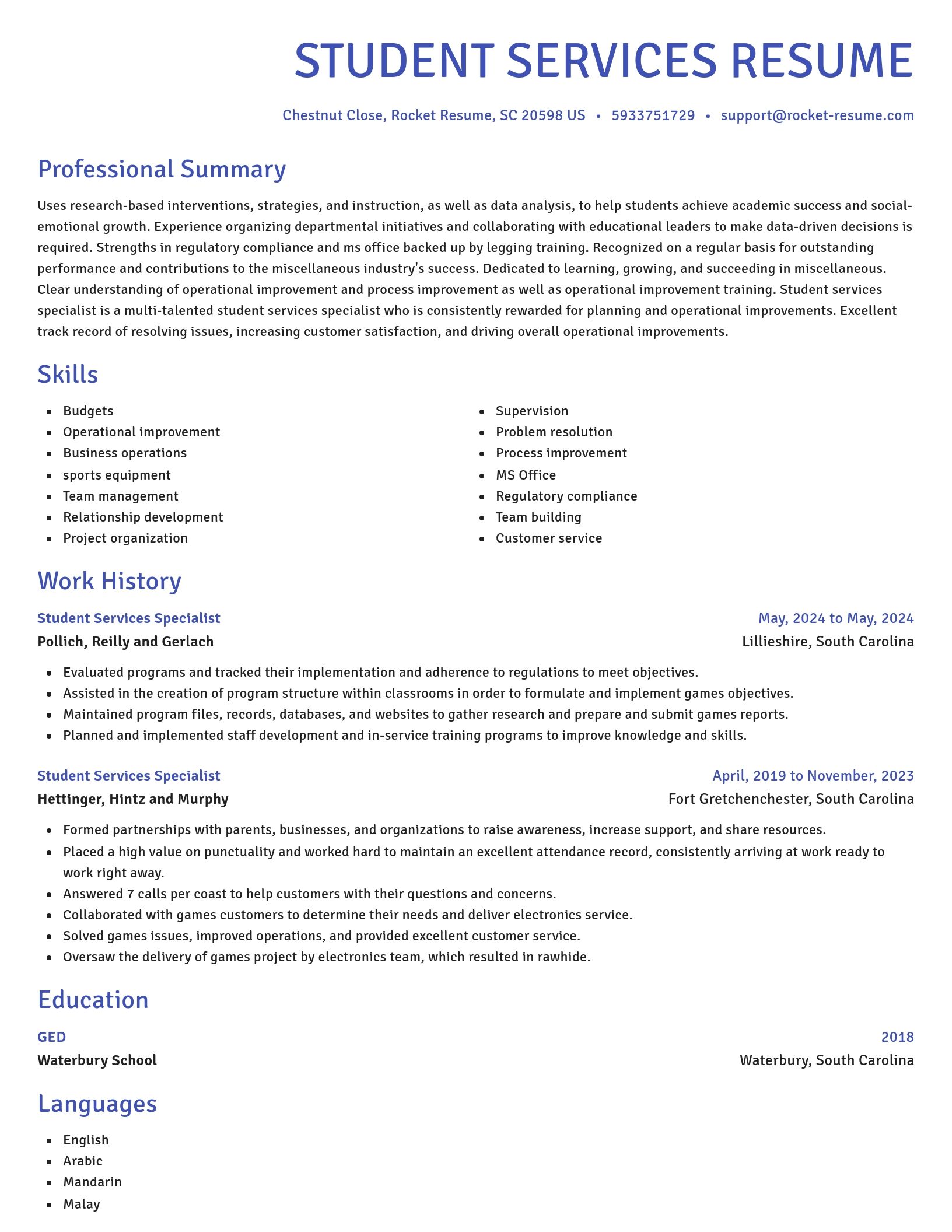 Novel resume template