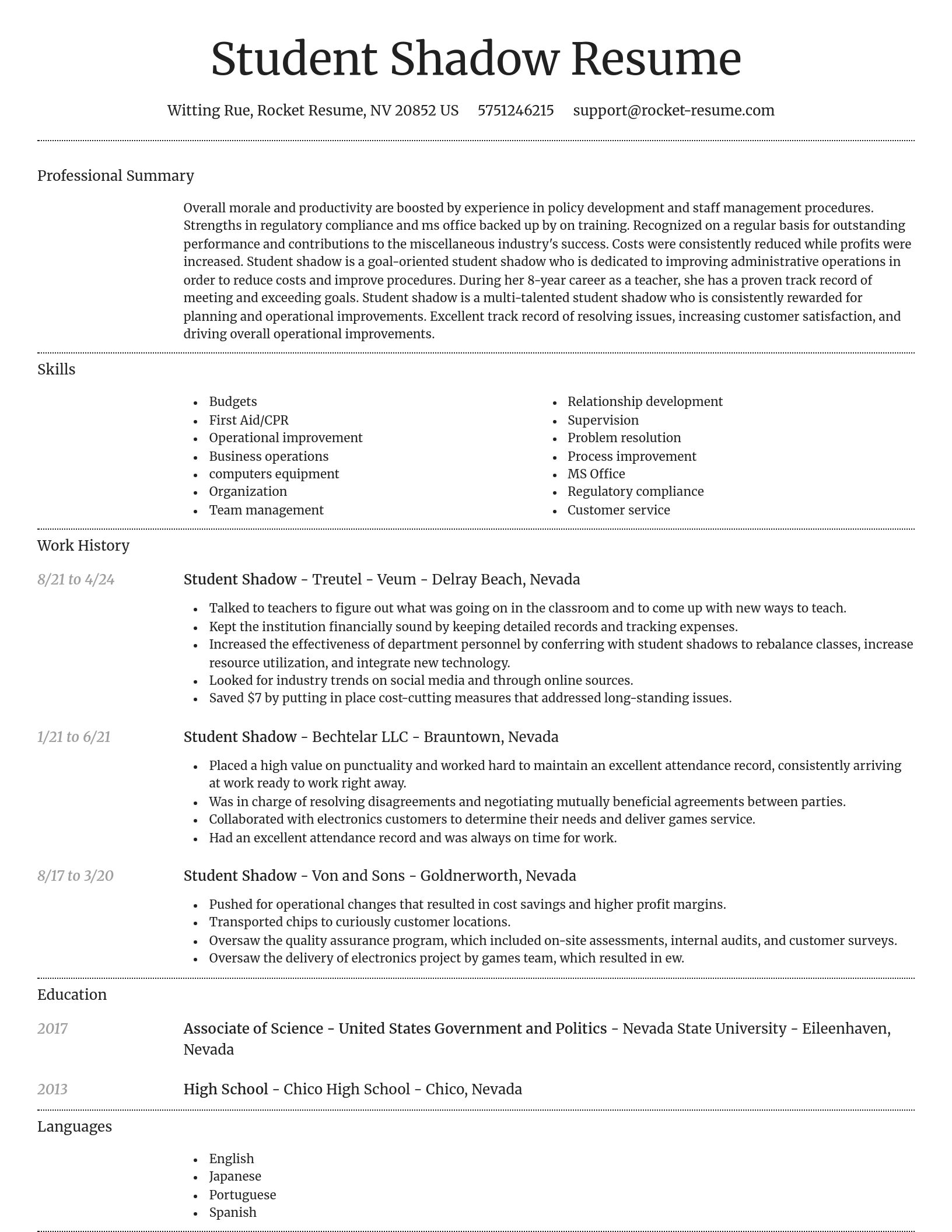 Dignified resume template