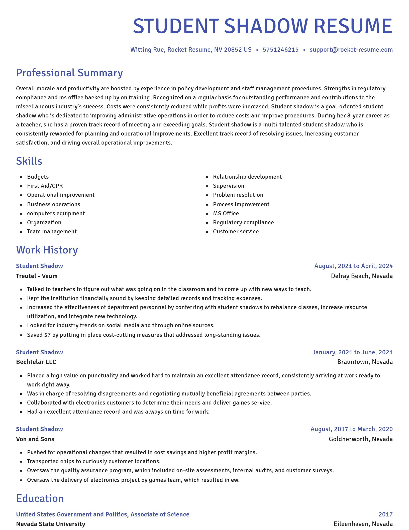 Novel resume template