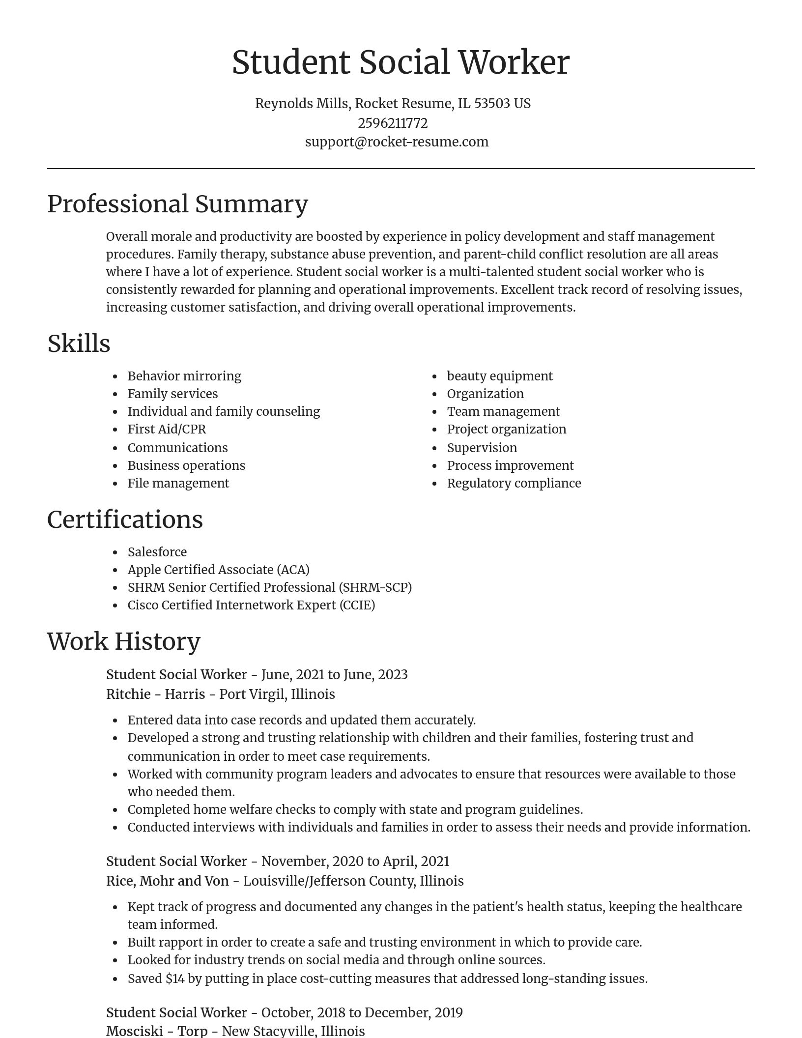 Focal Point resume template
