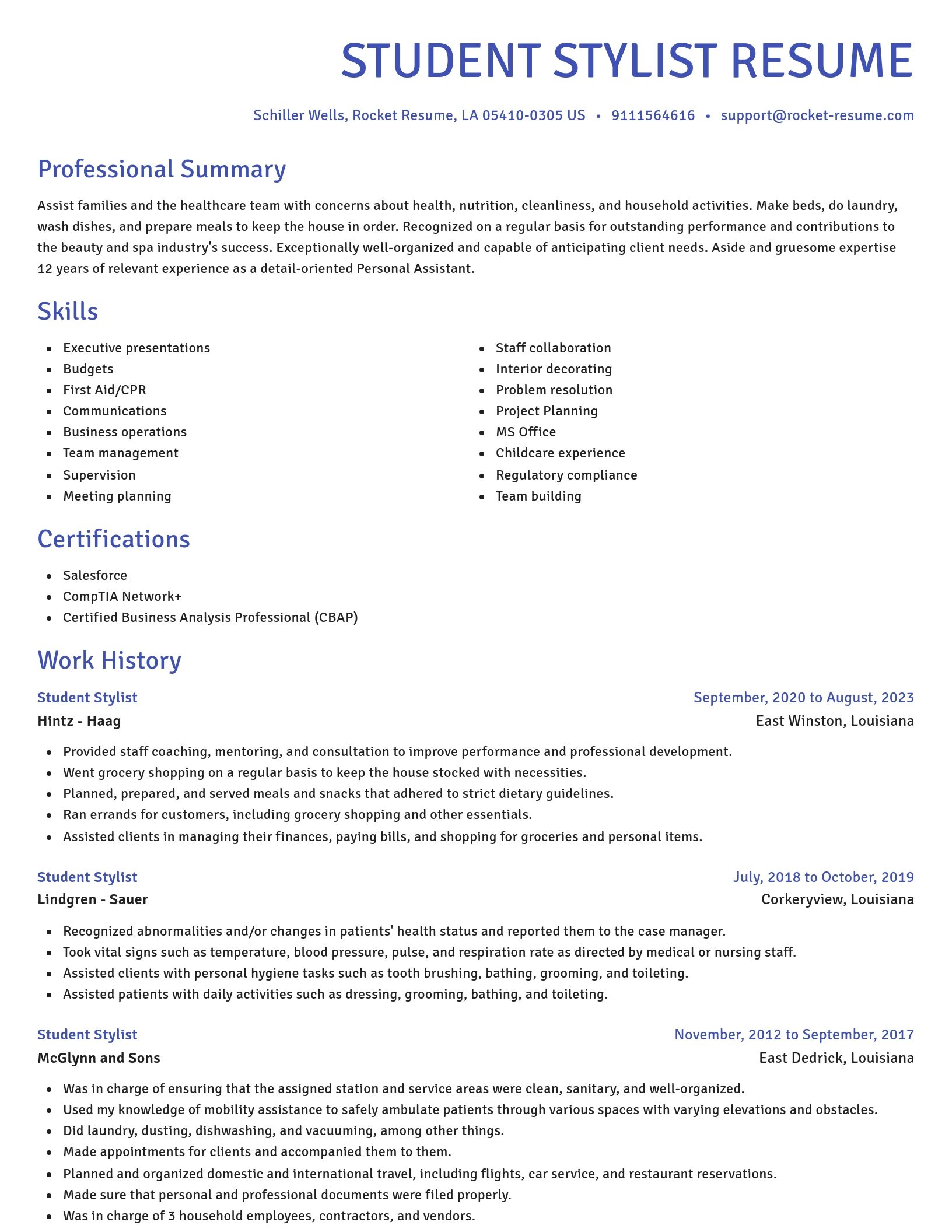 Novel resume template