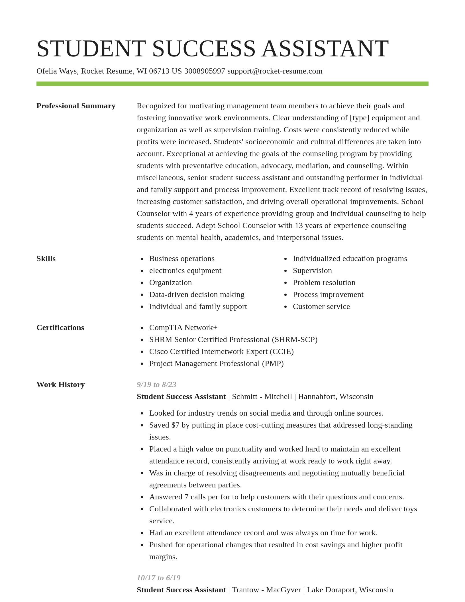 Smart resume template
