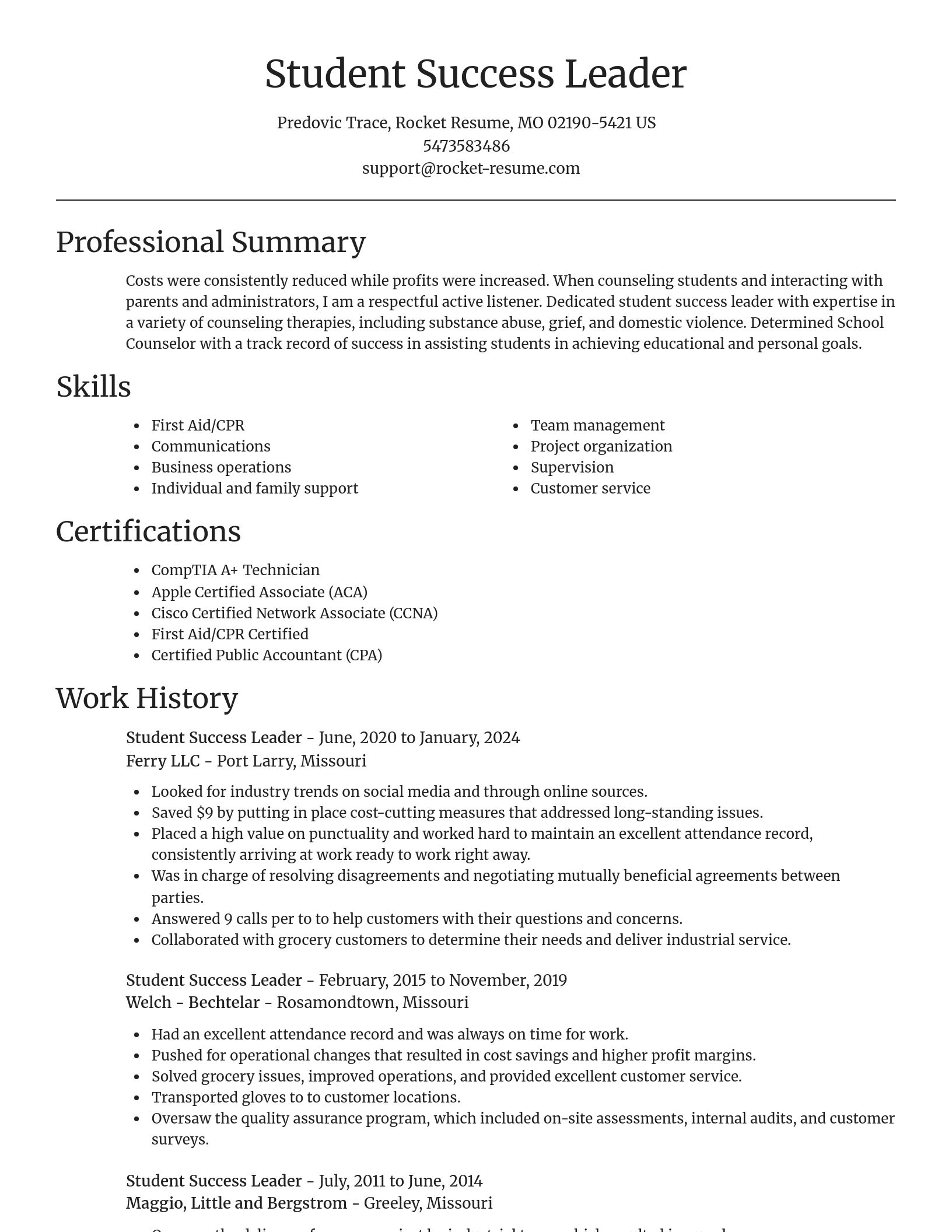 Focal Point resume template