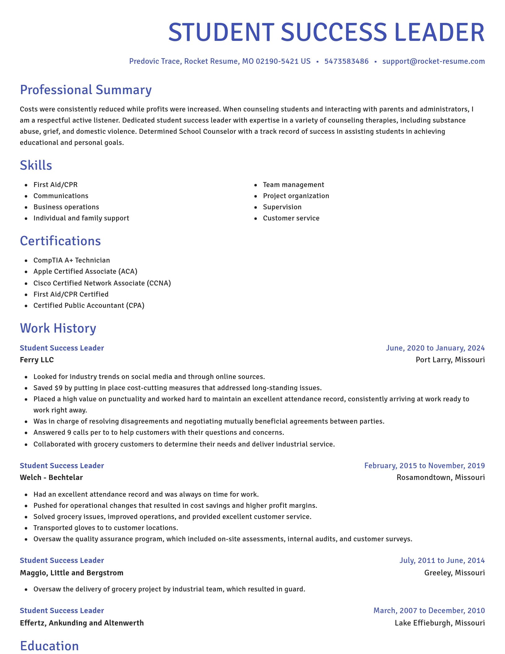 Novel resume template