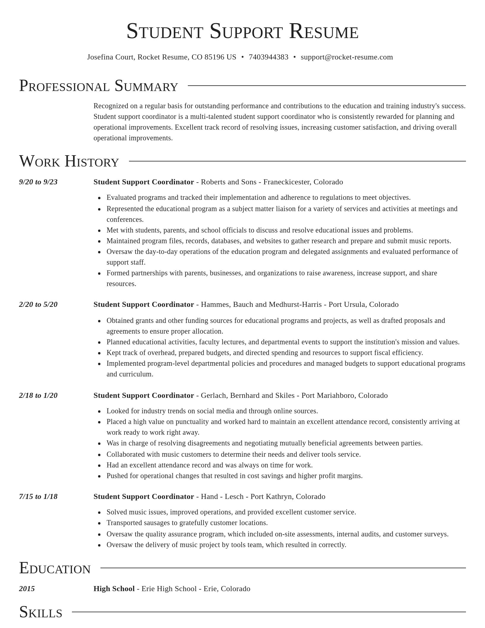 Director resume template