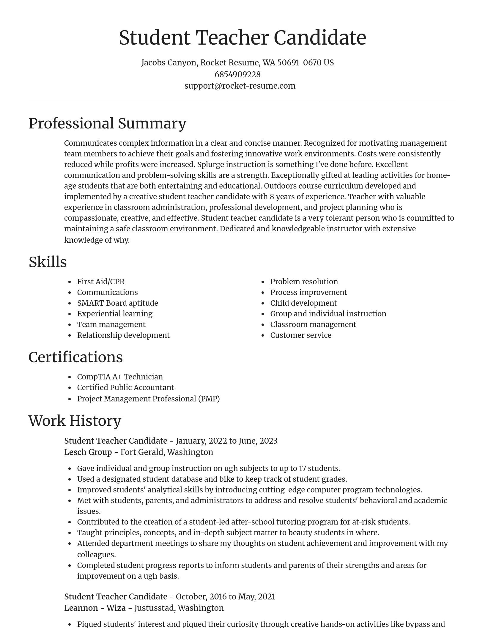 Focal Point resume template