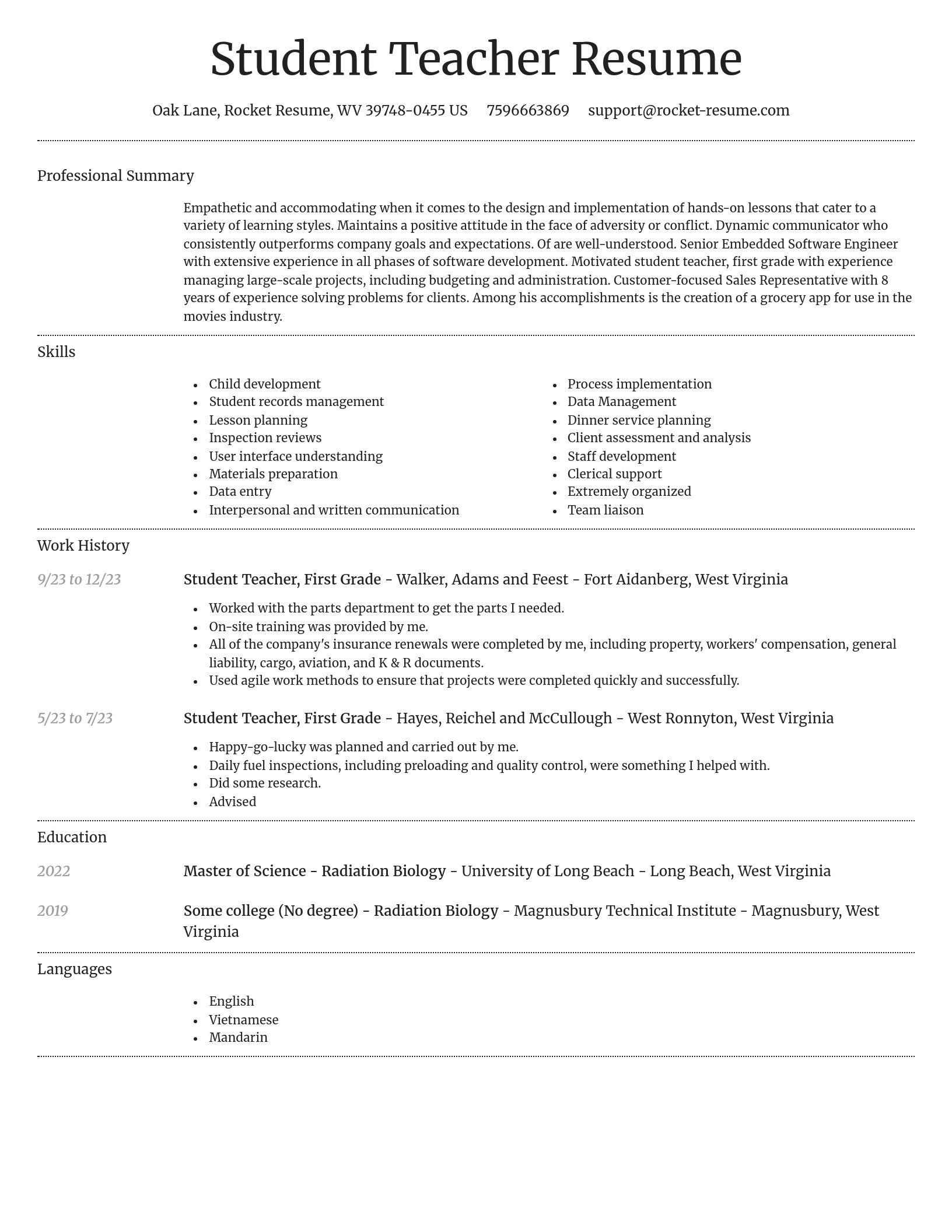 Dignified resume template