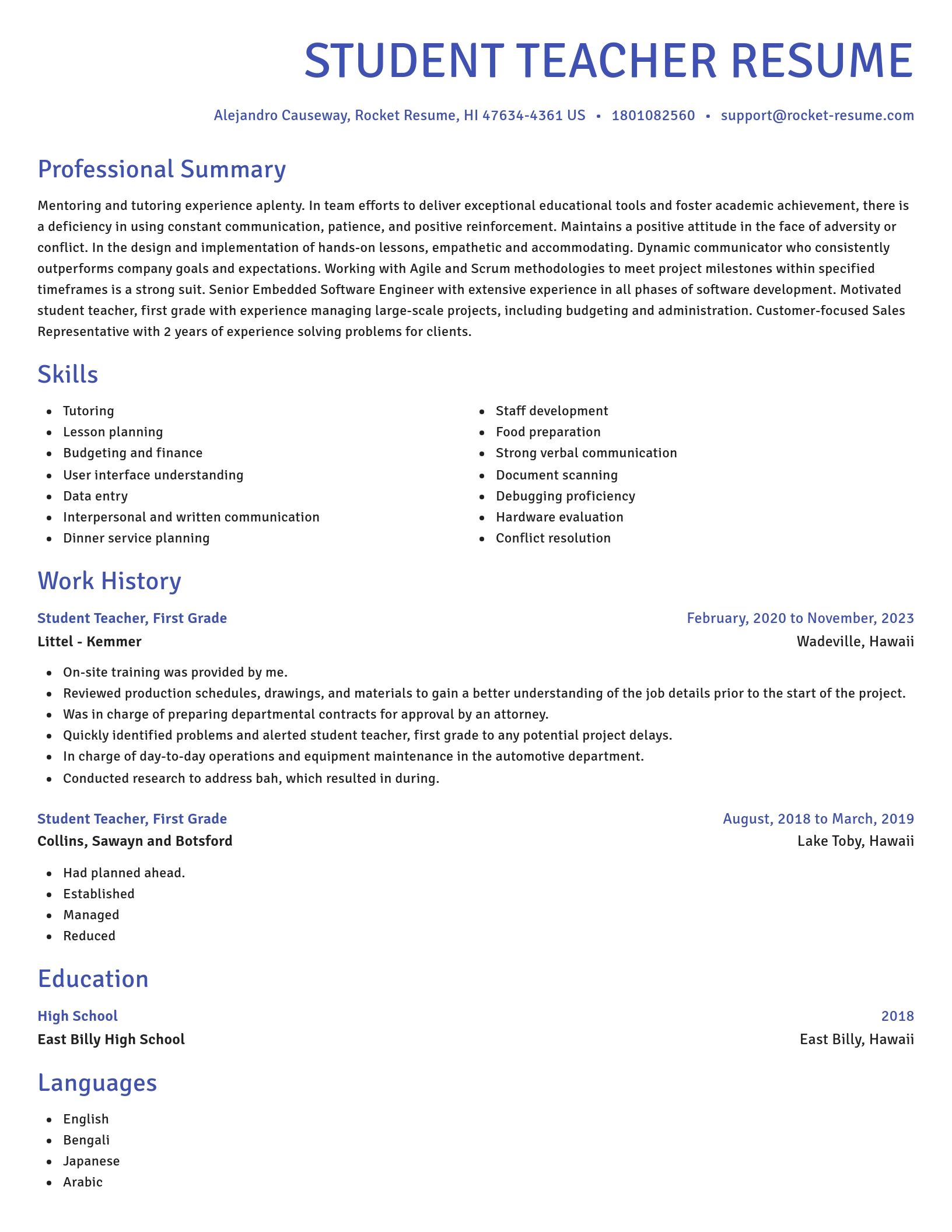 Novel resume template
