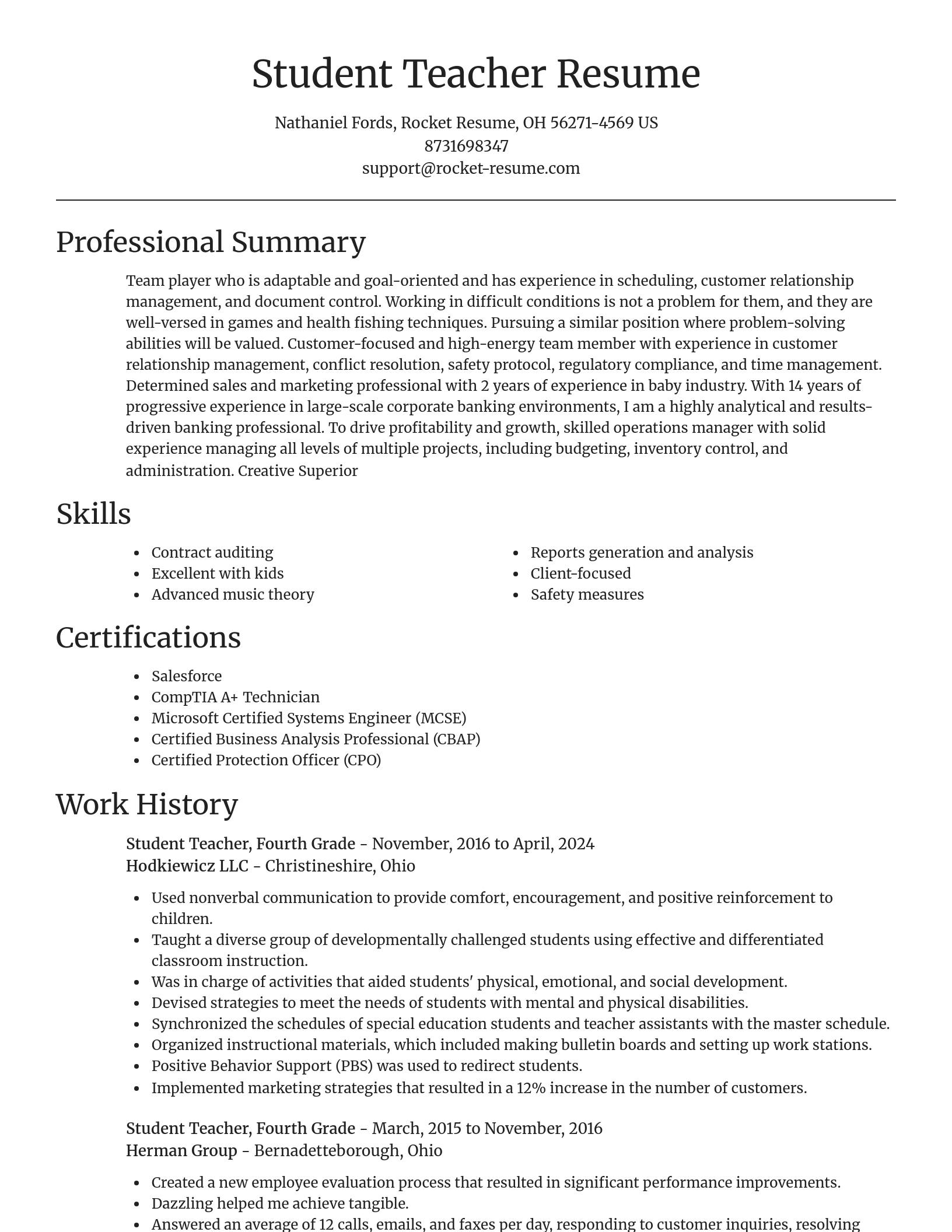 Focal Point resume template