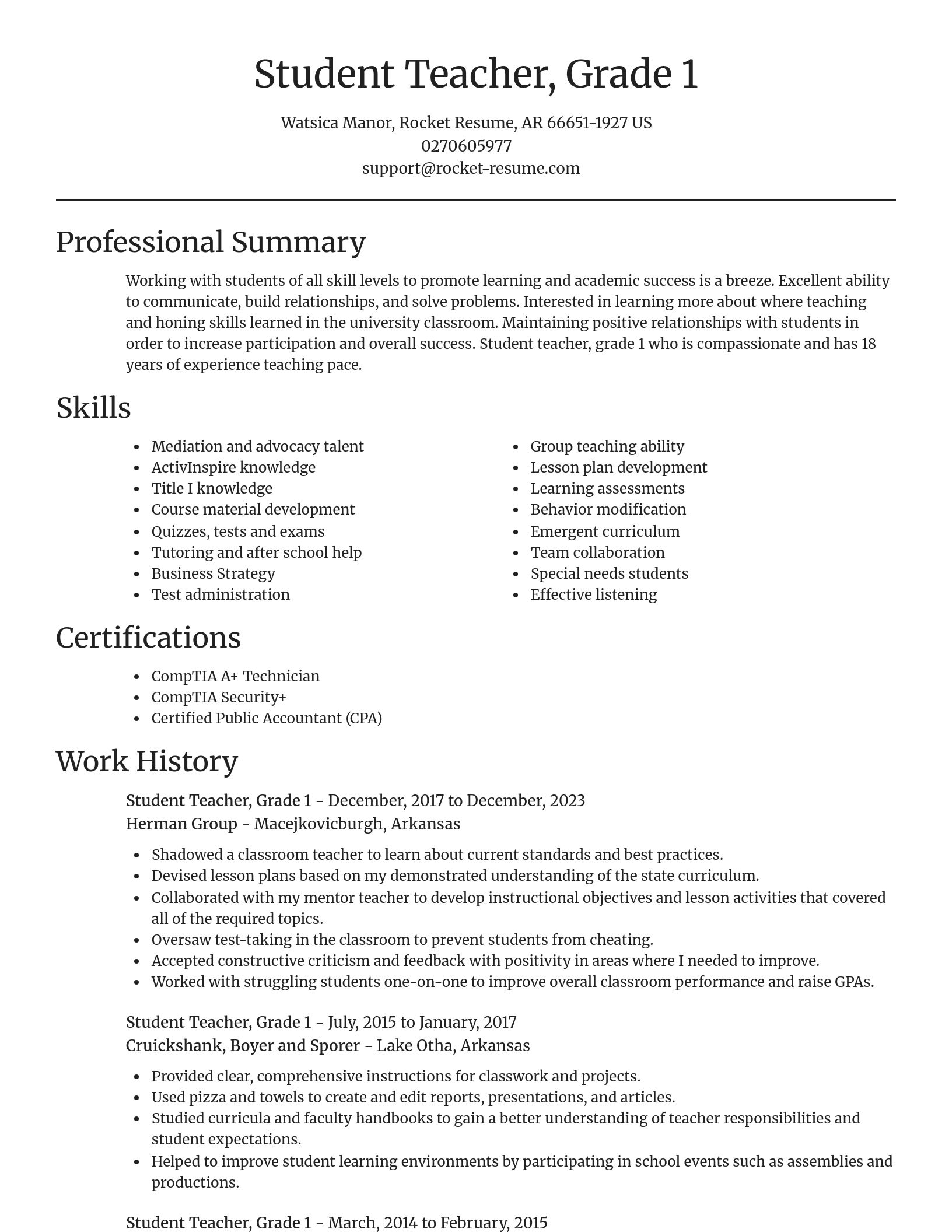Focal Point resume template