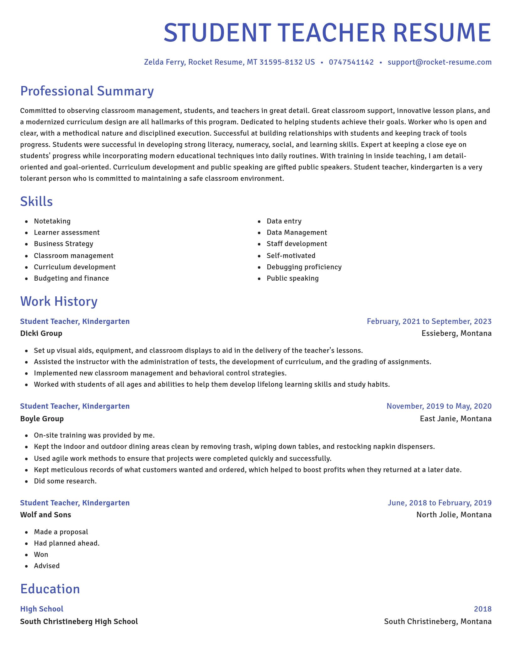 Novel resume template