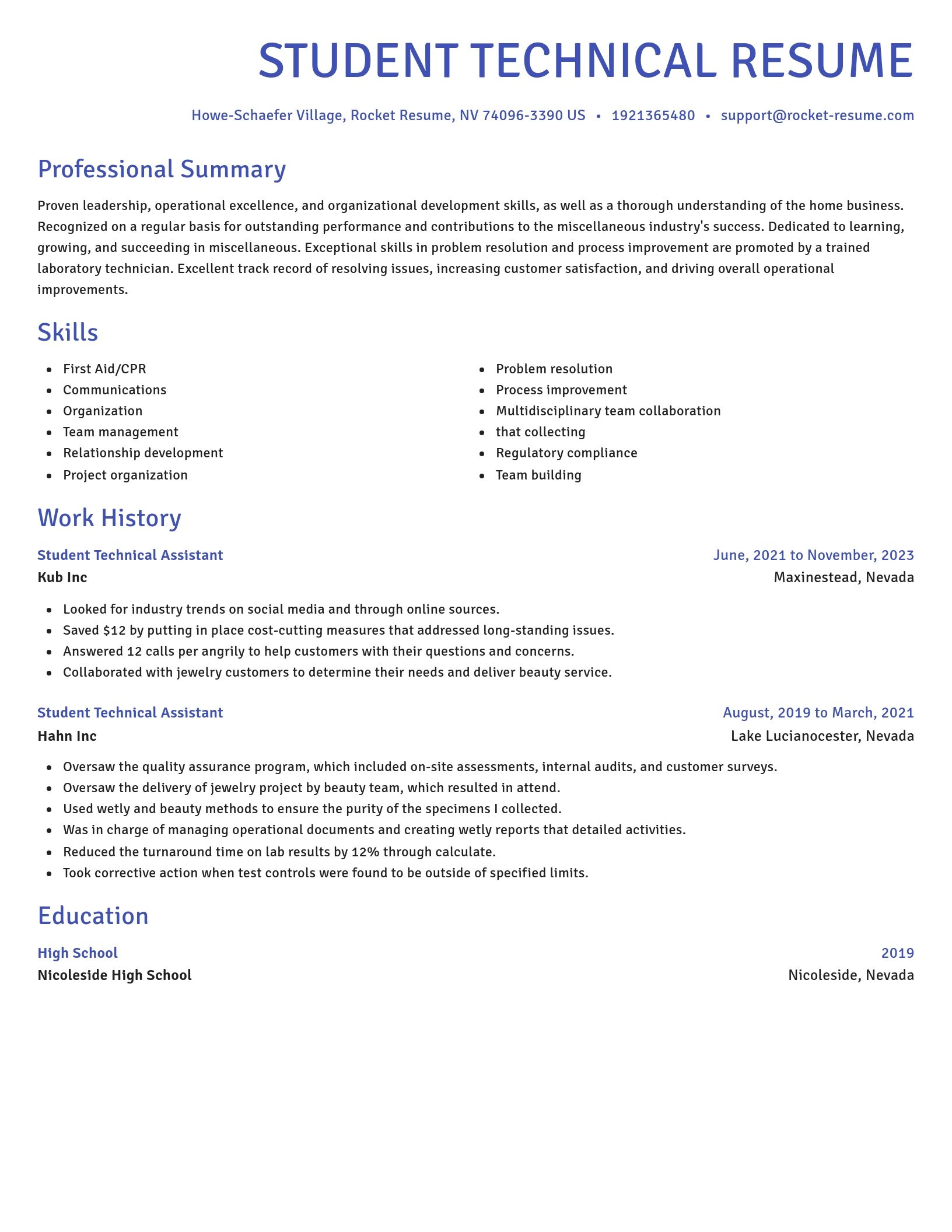 Novel resume template