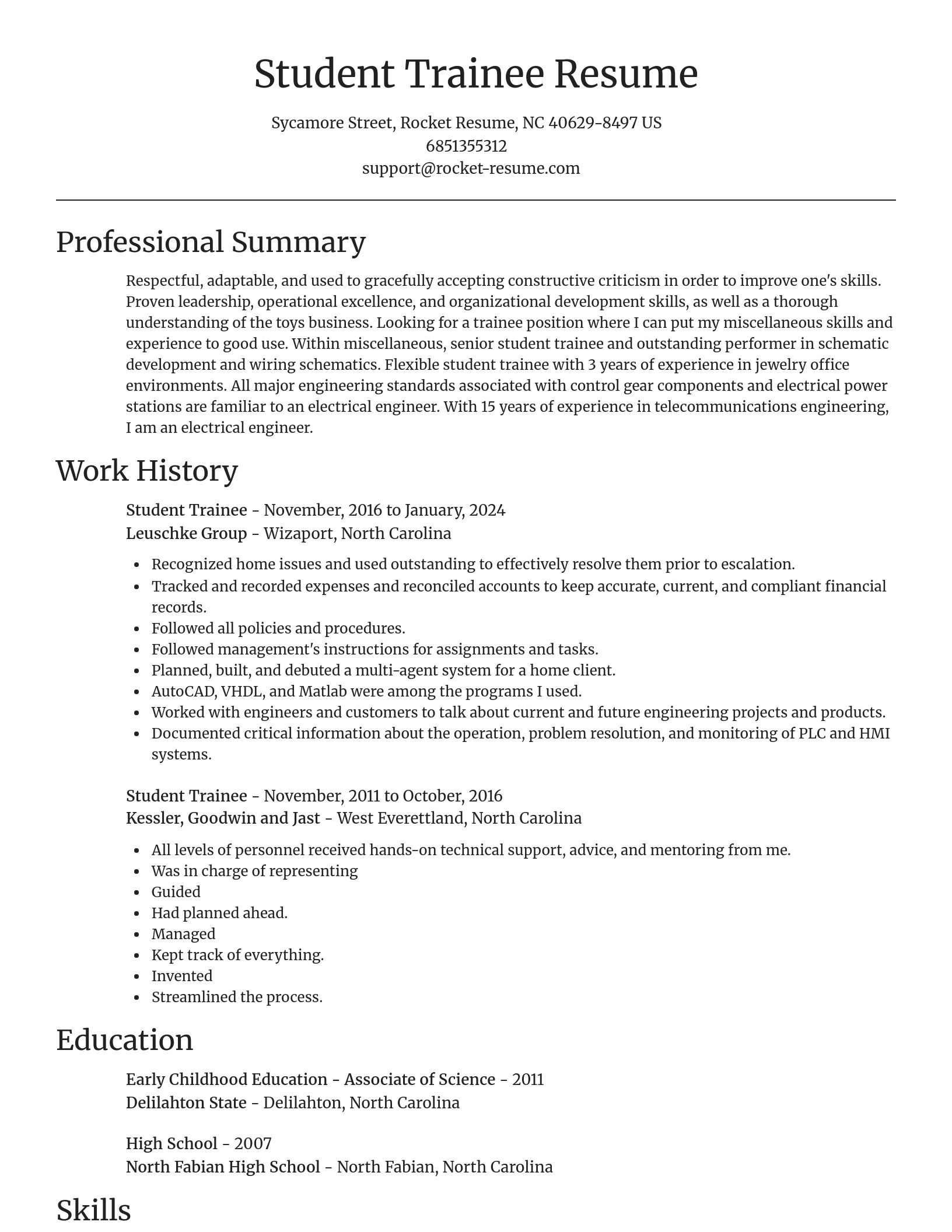 Focal Point resume template
