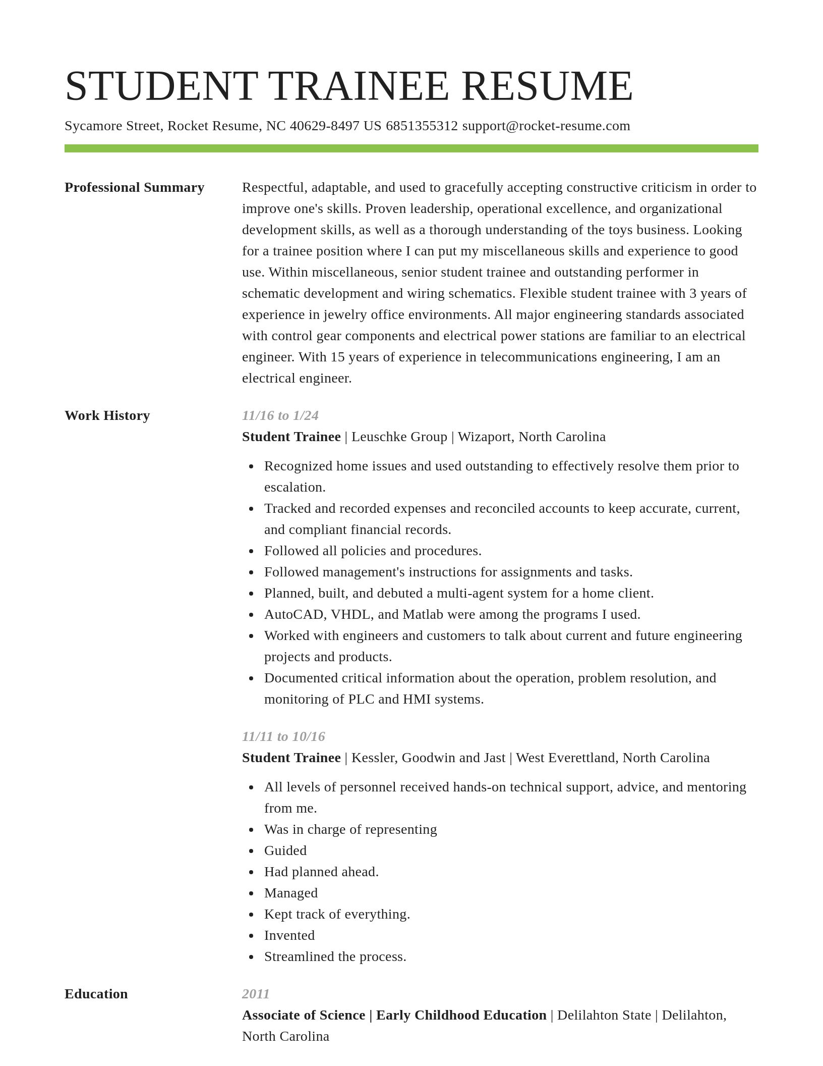 Smart resume template
