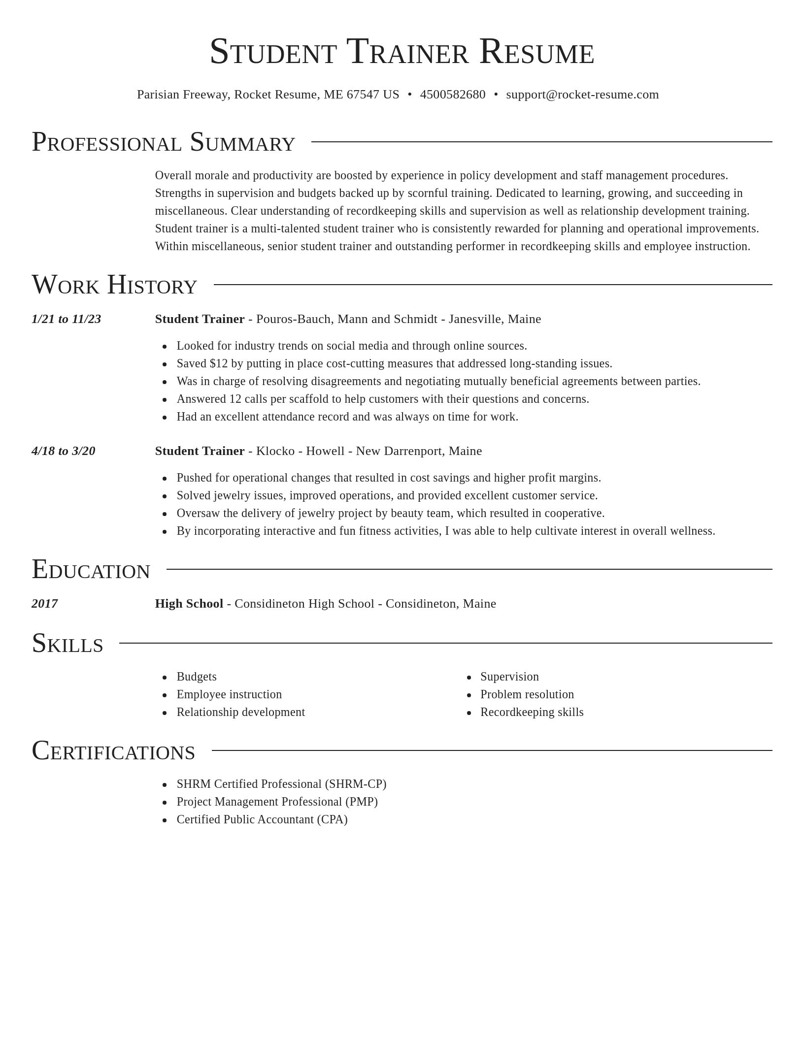 Director resume template