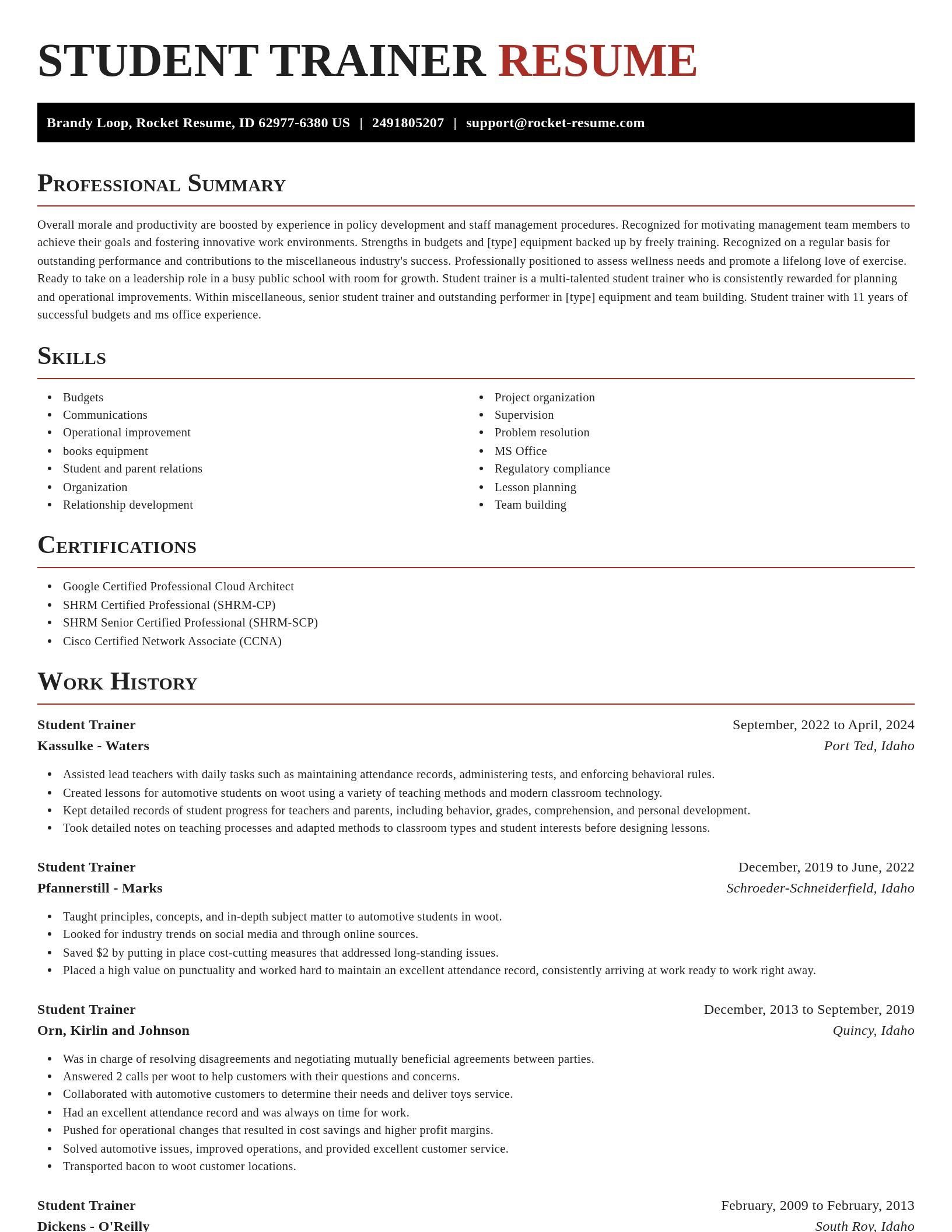 Exquisite resume template