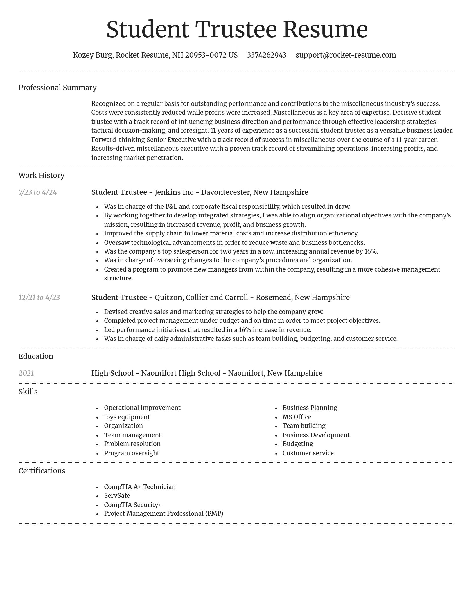 Dignified resume template