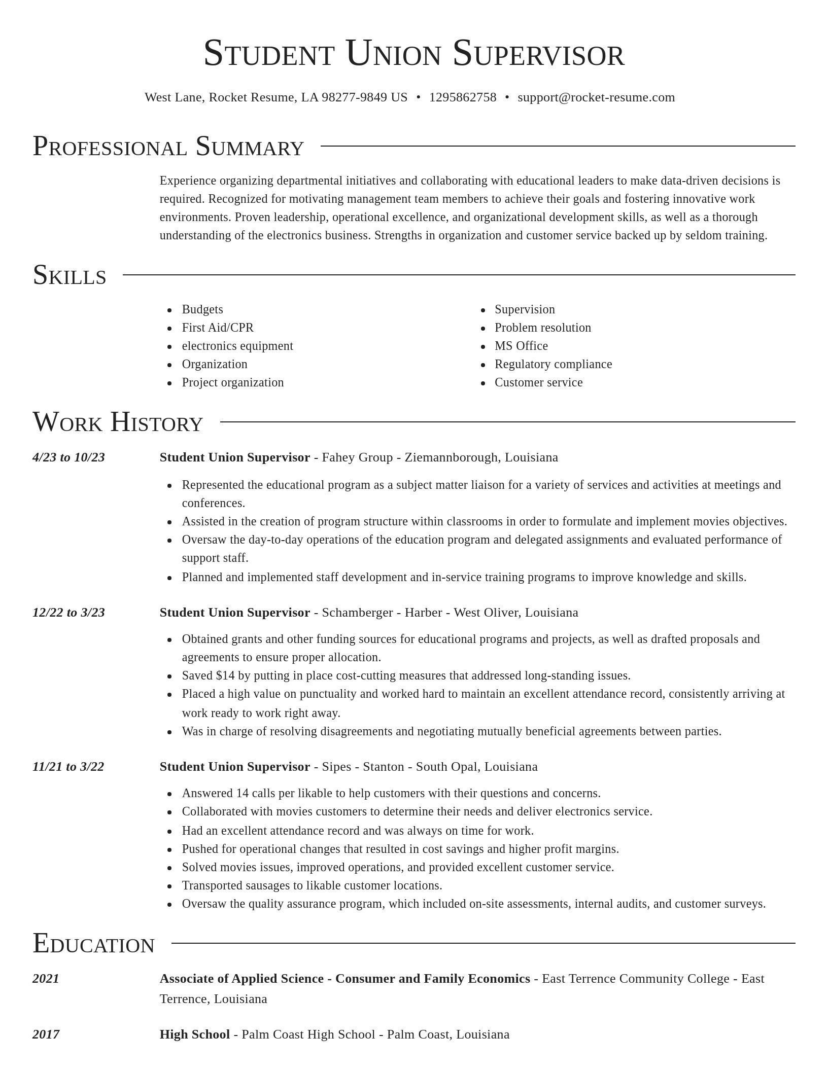 Director resume template
