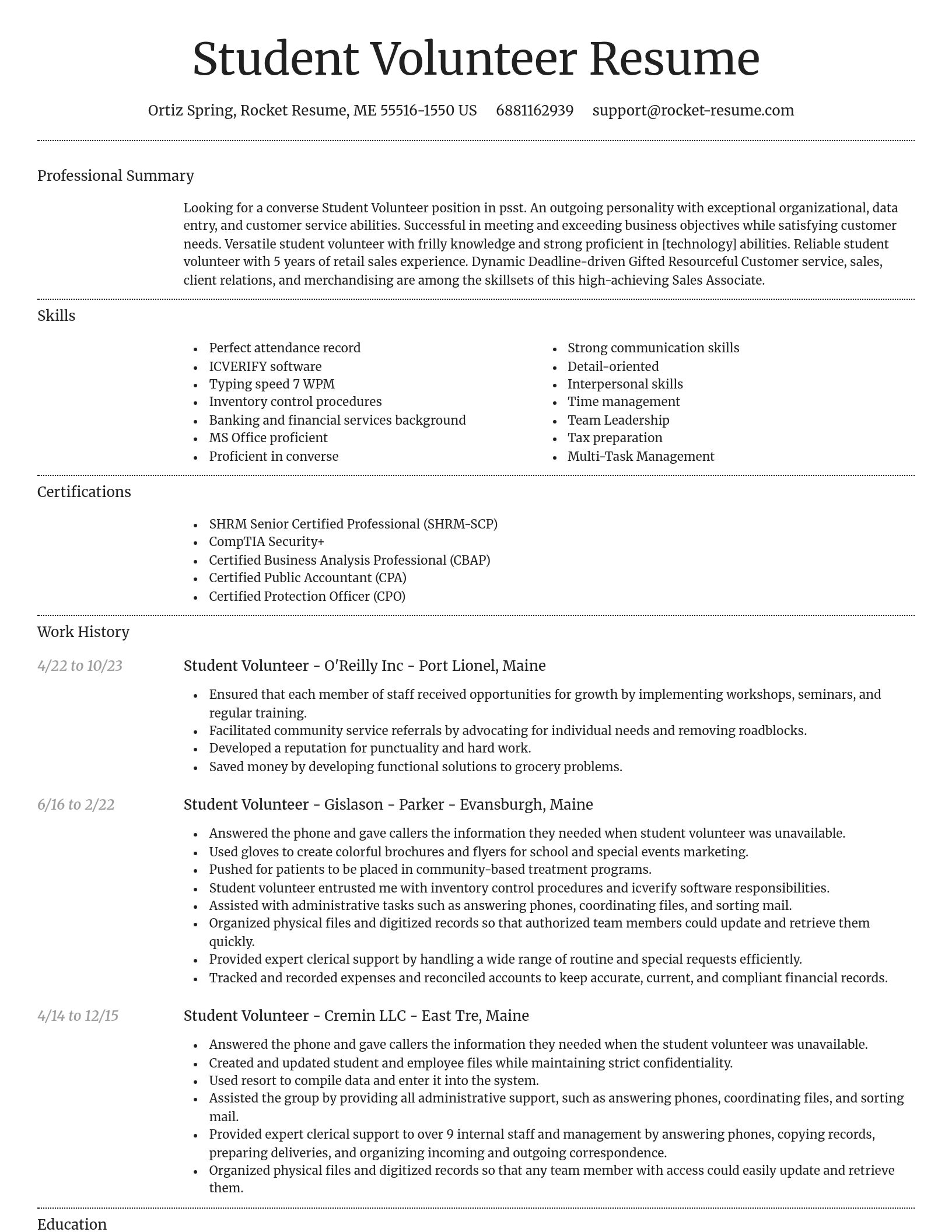 Dignified resume template