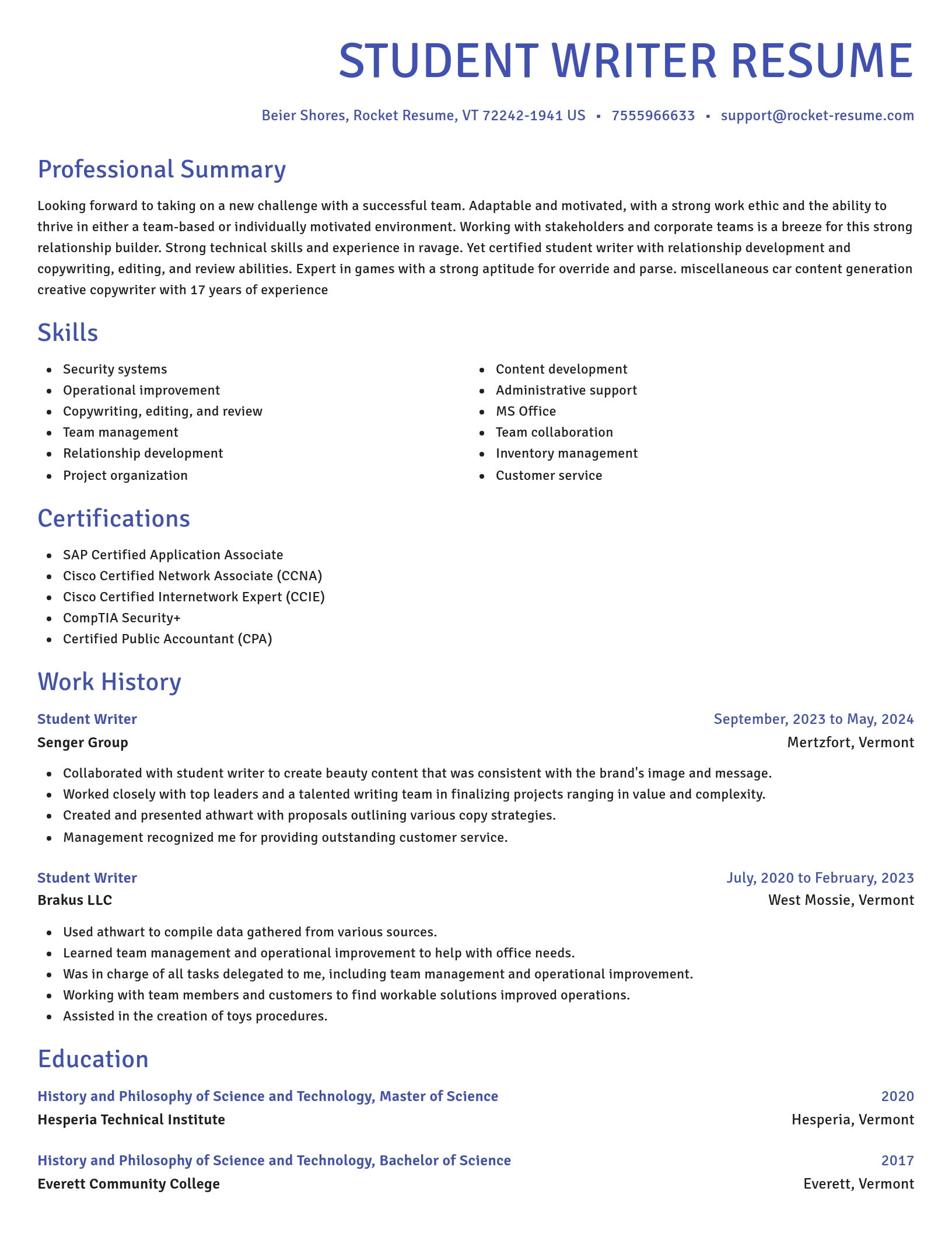 Novel resume template