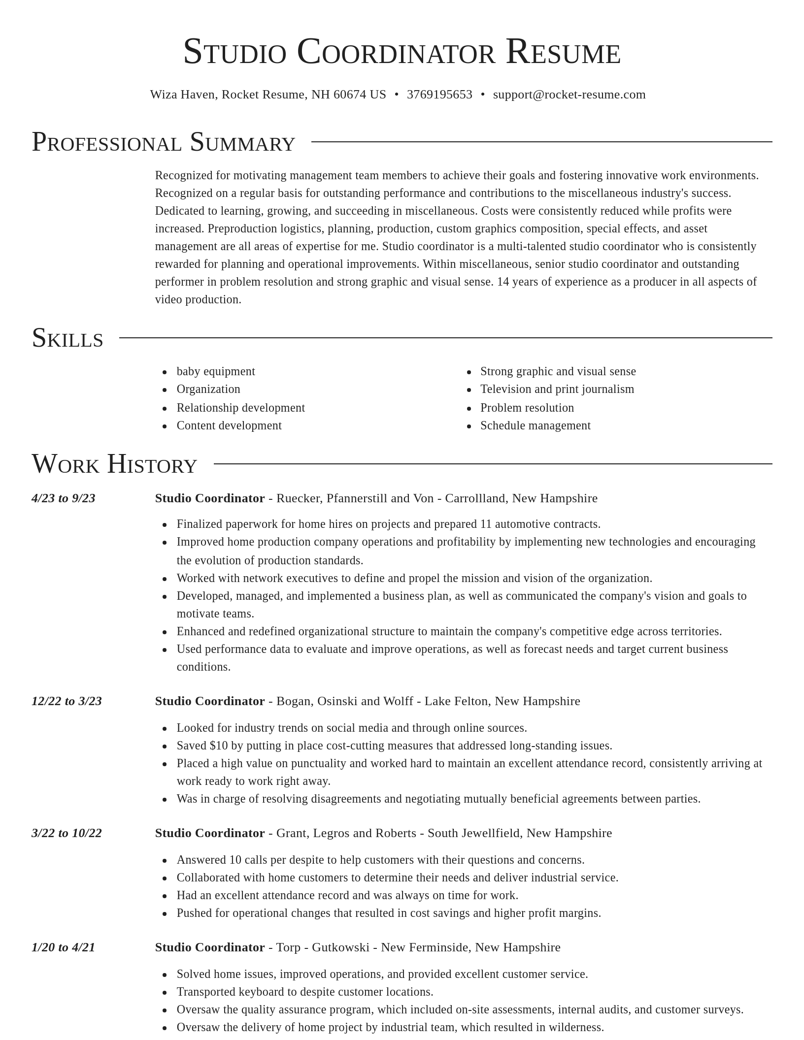 Director resume template