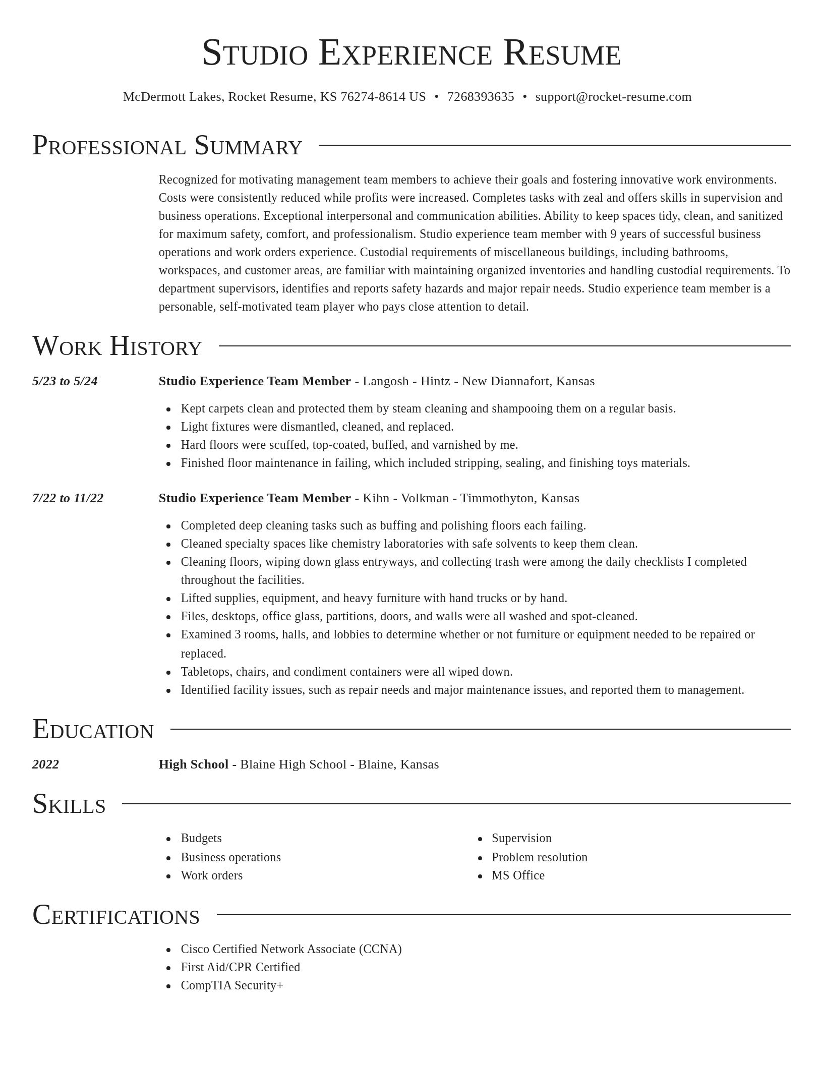 Director resume template