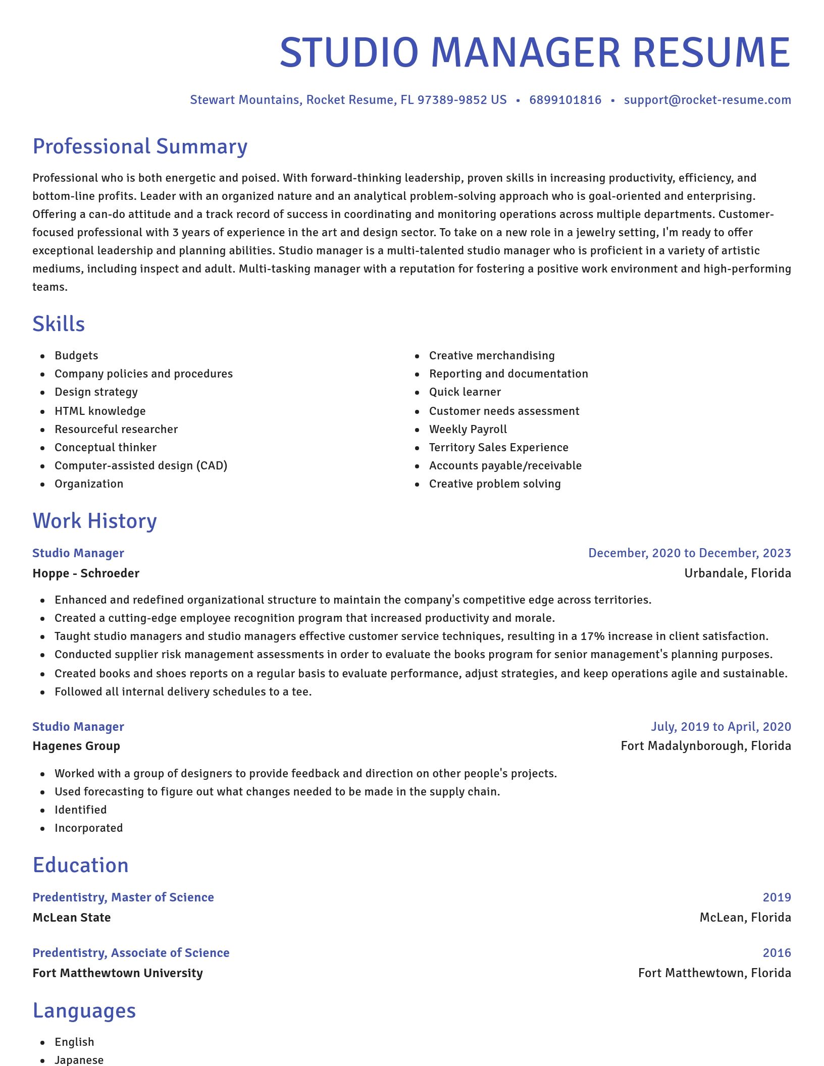 Novel resume template
