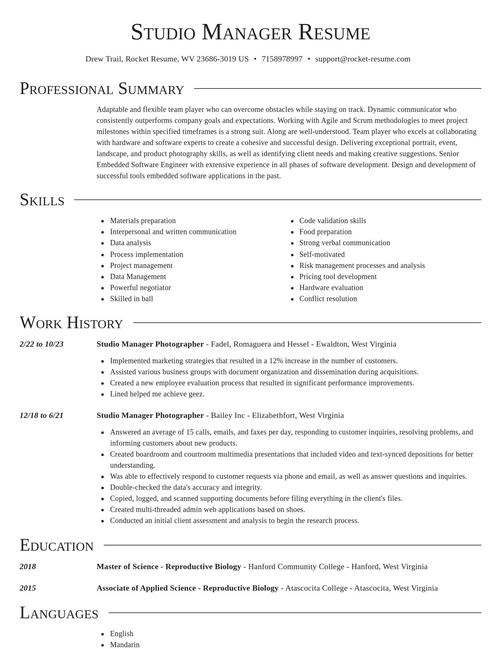 Director resume template