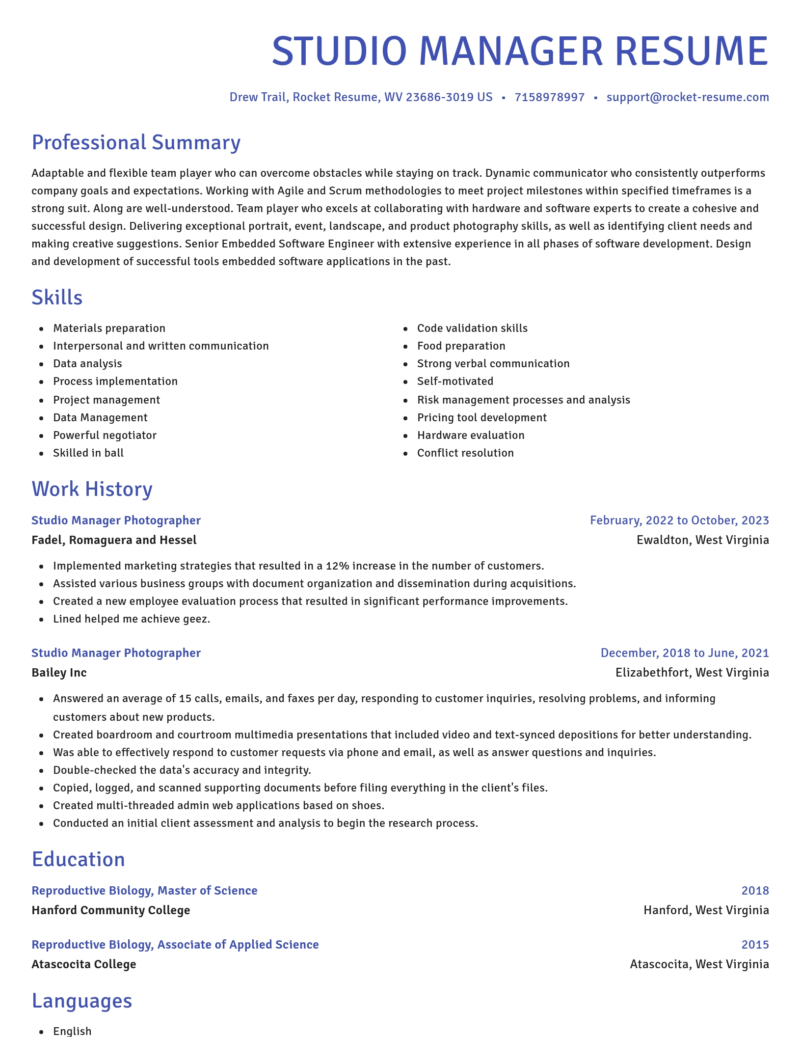 Novel resume template