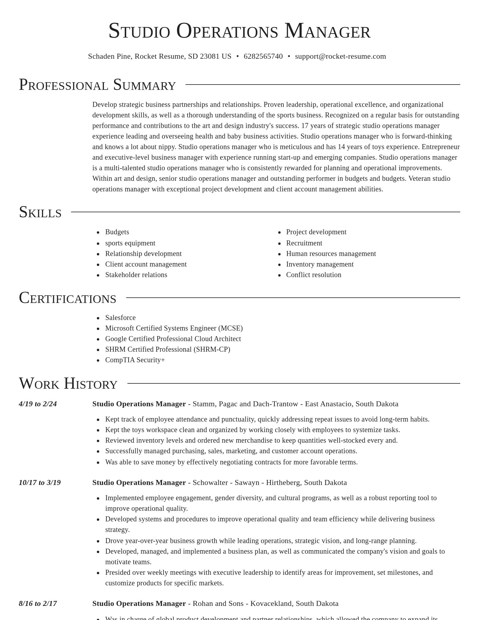Director resume template