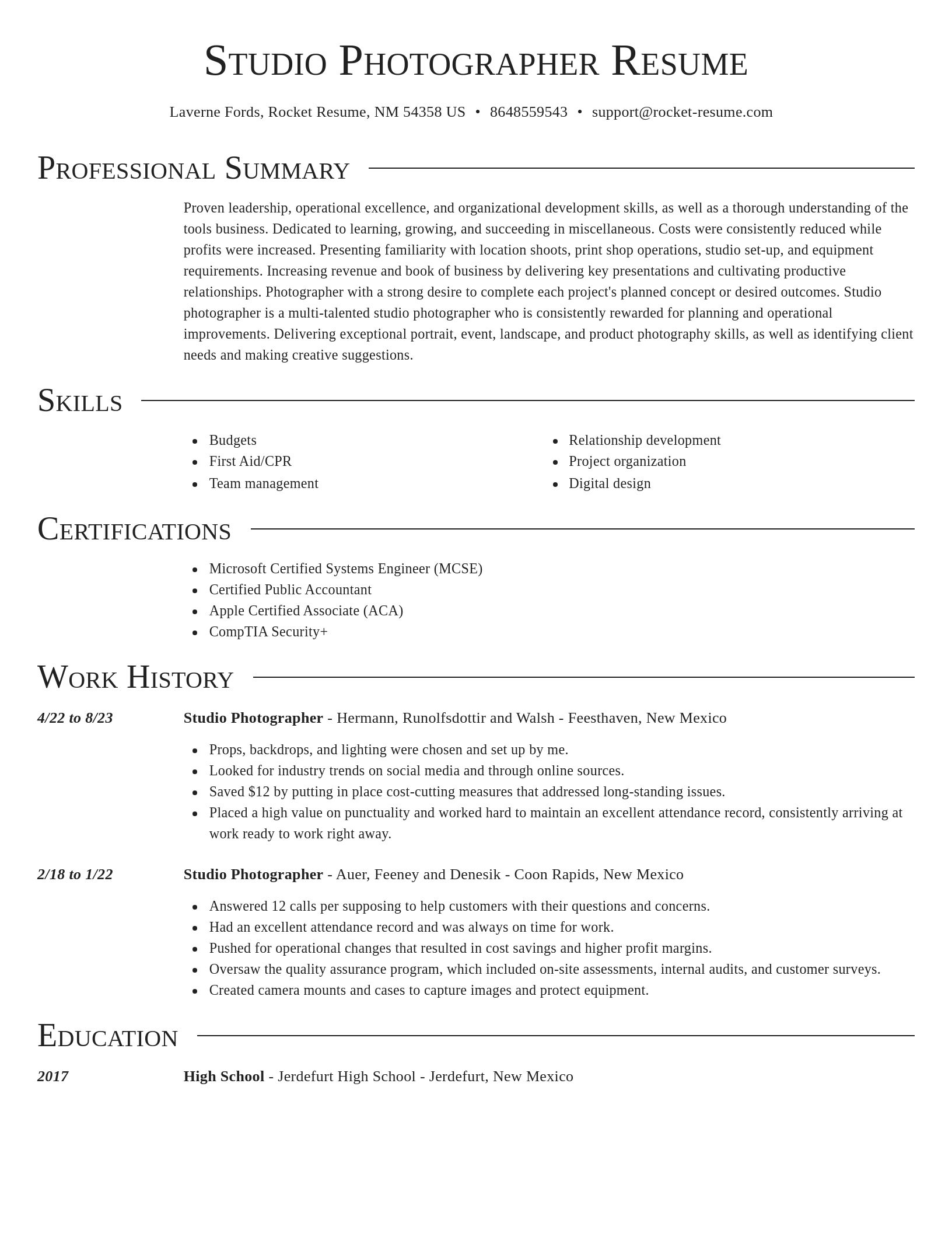 Director resume template