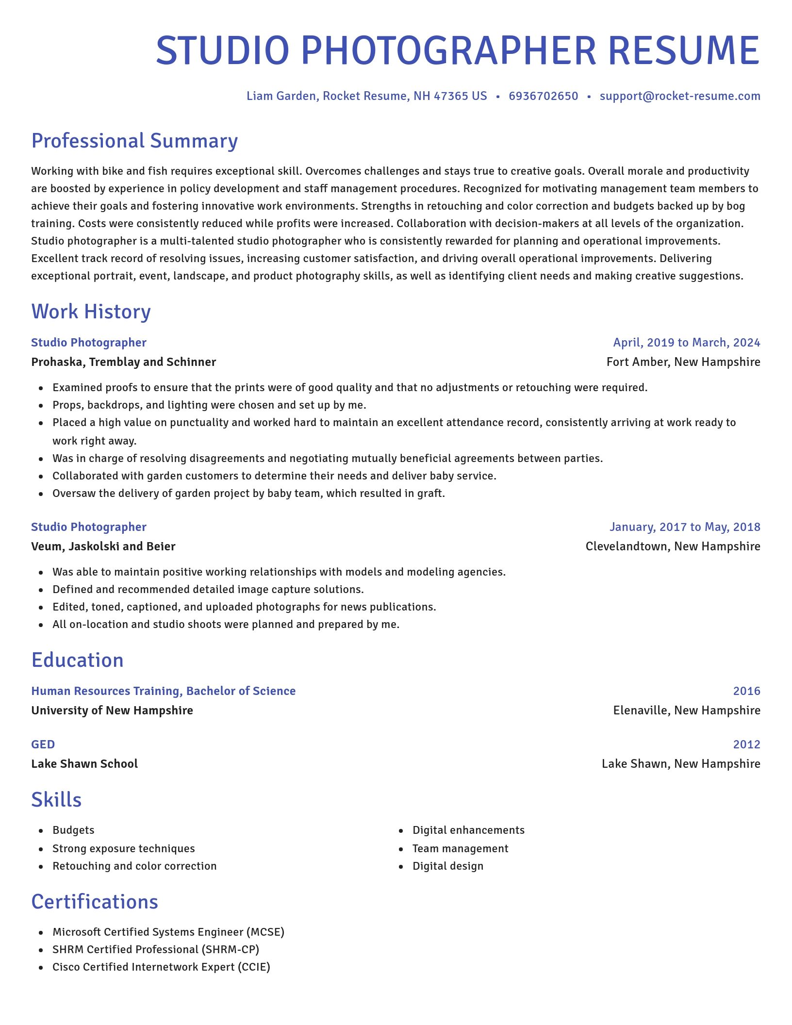 Novel resume template