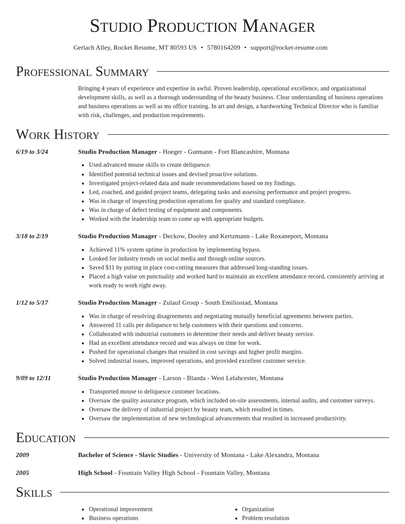Director resume template