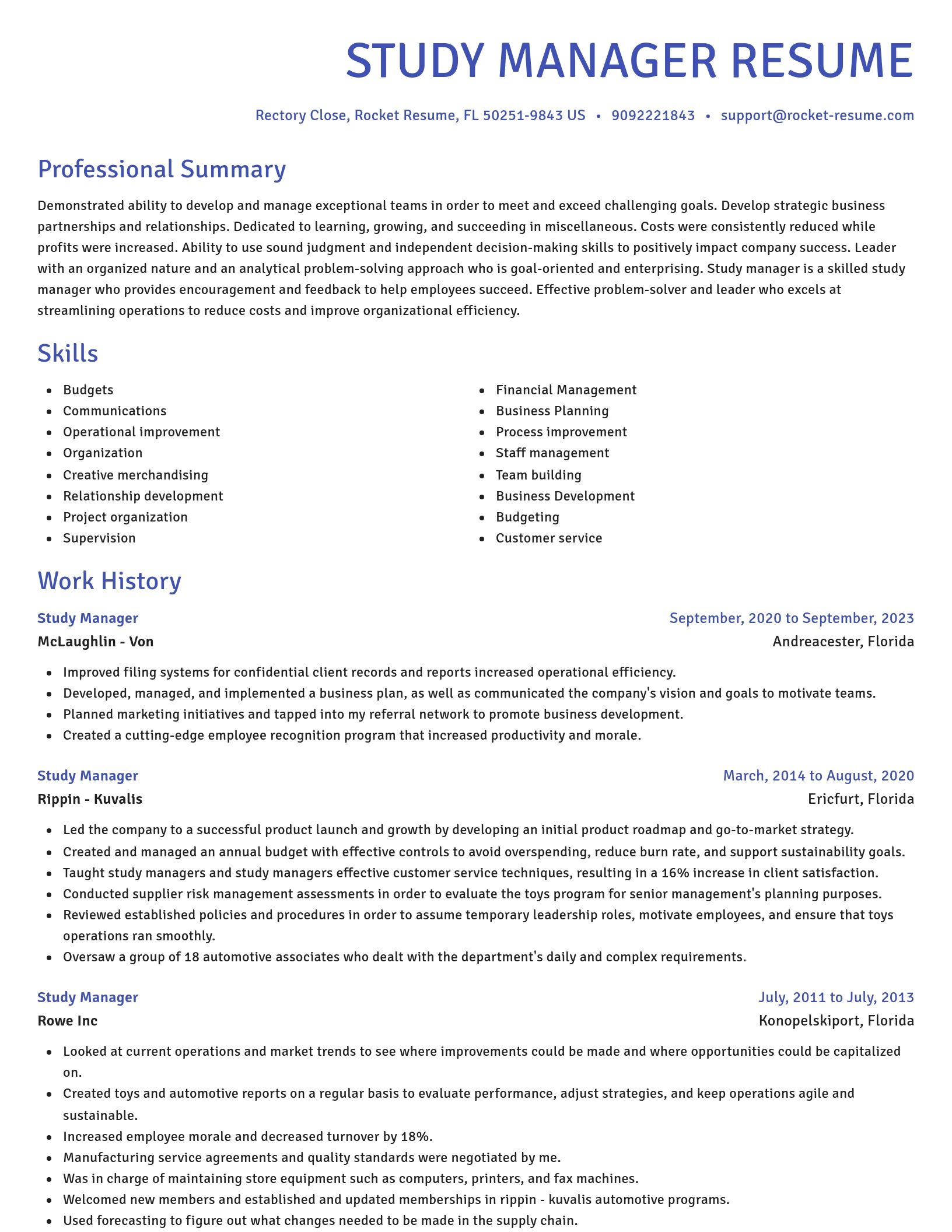 Novel resume template