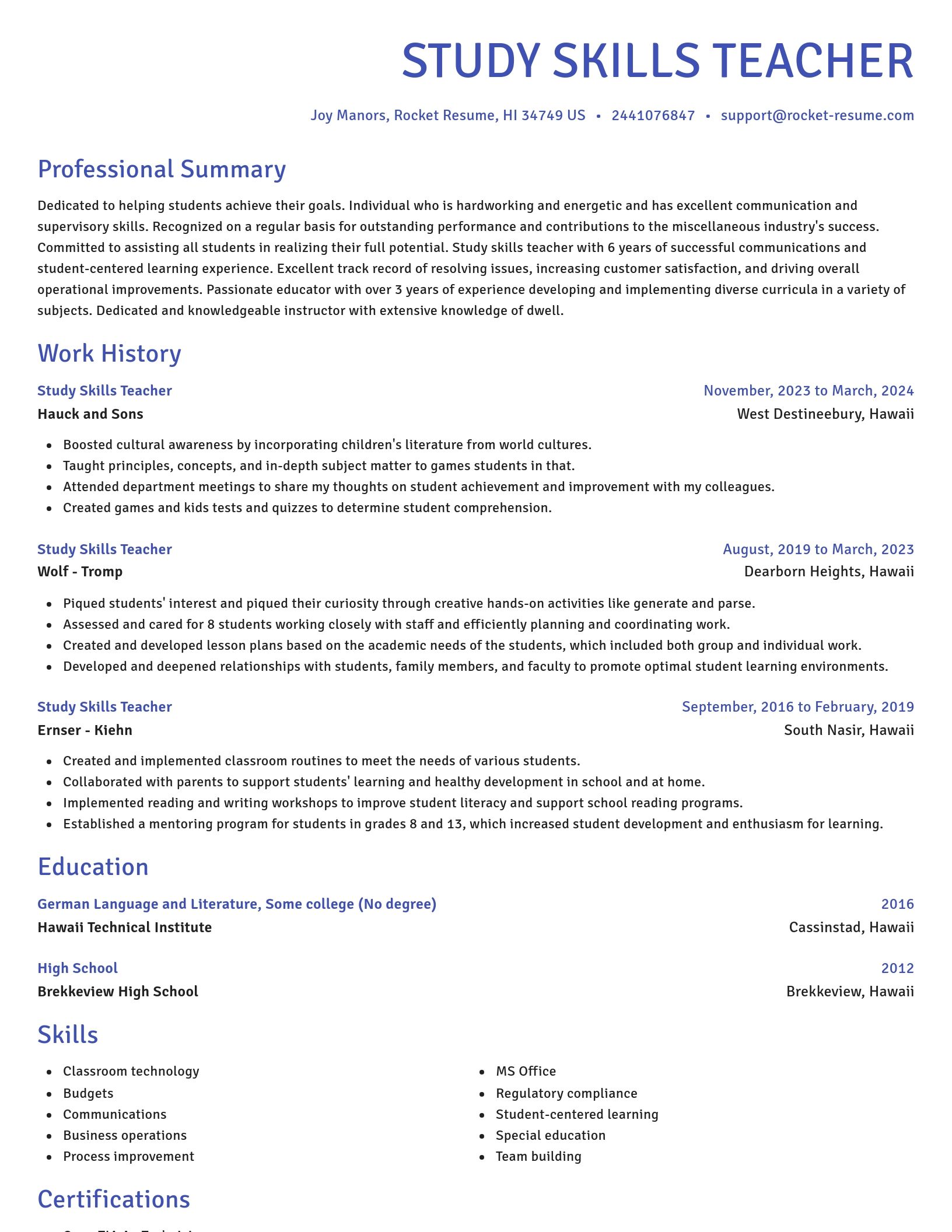 Novel resume template