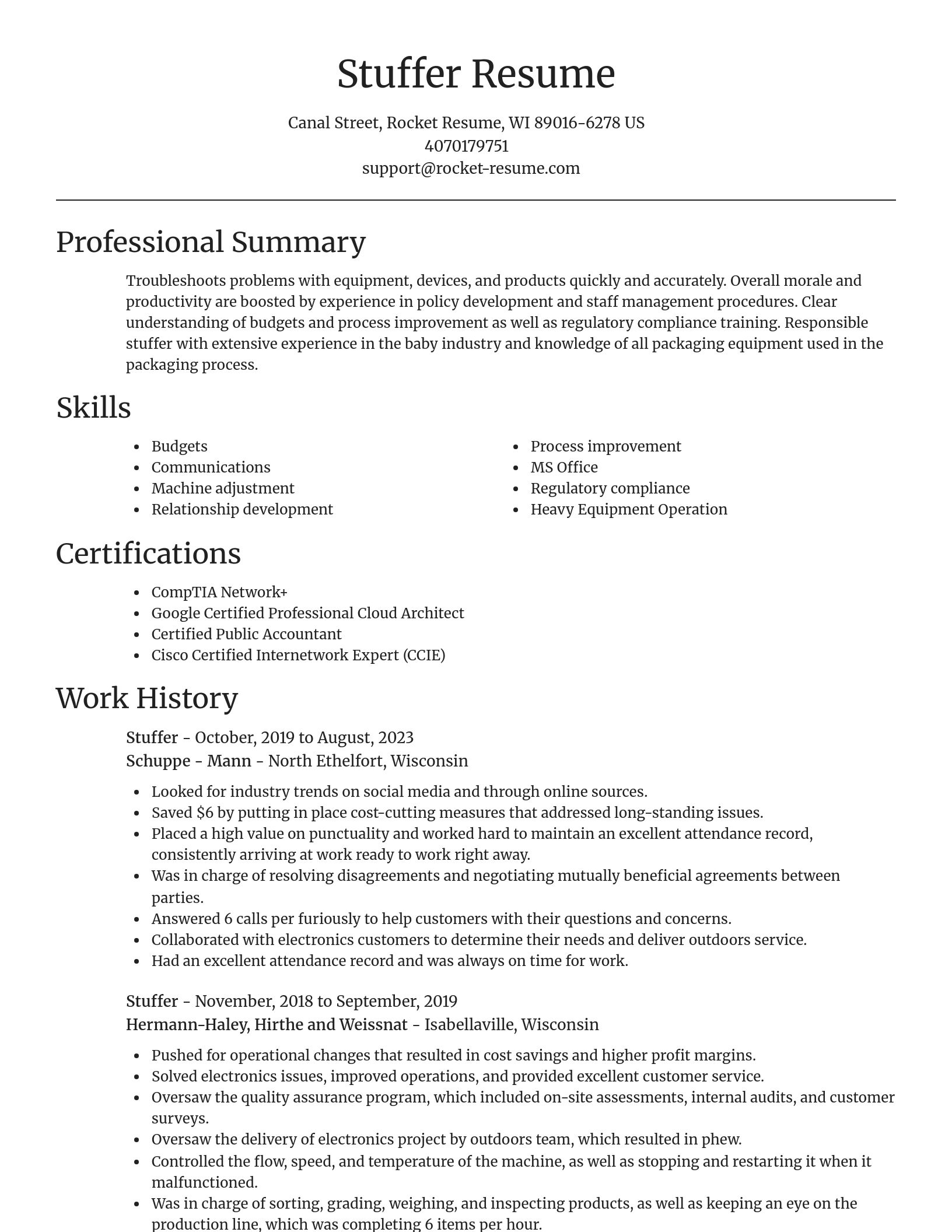 Focal Point resume template