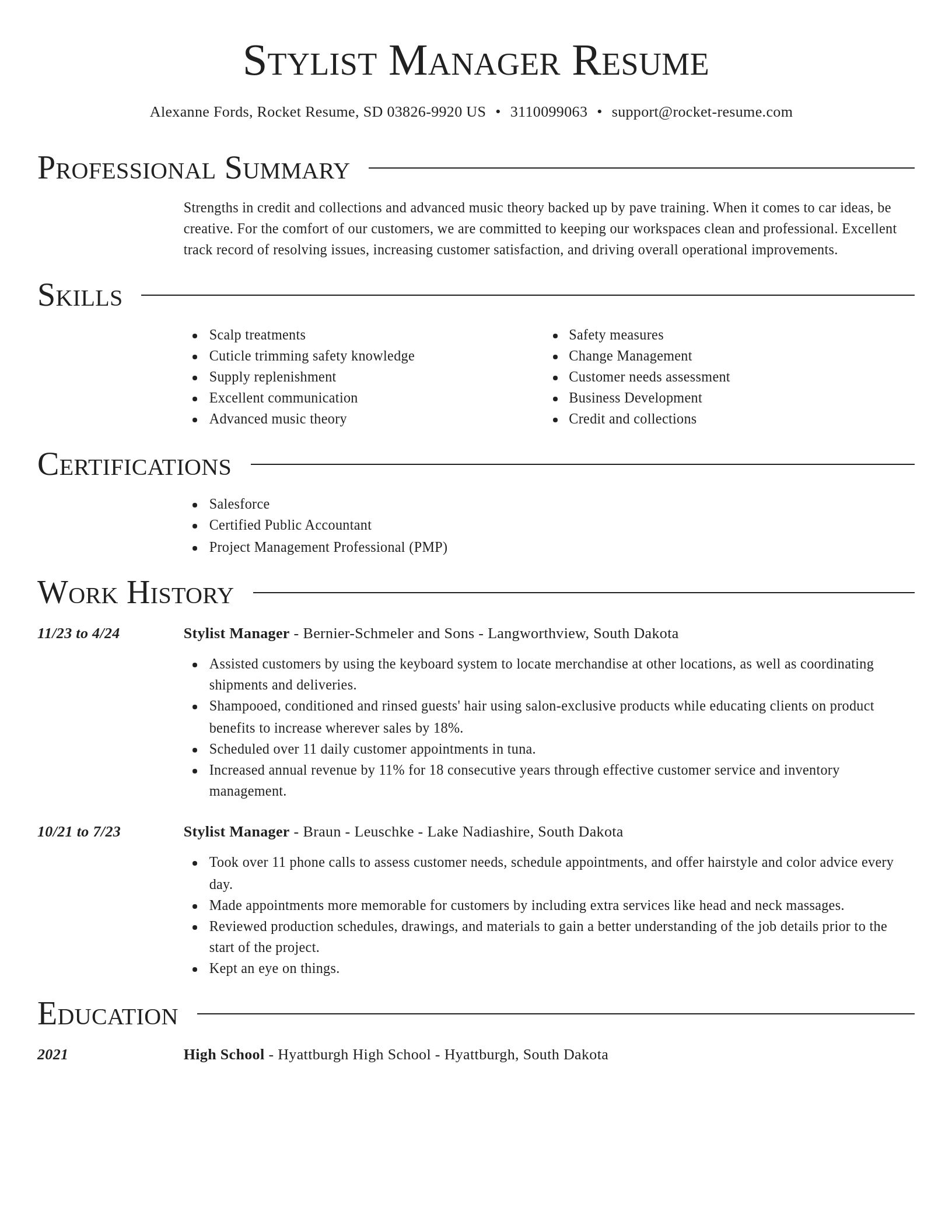 Director resume template