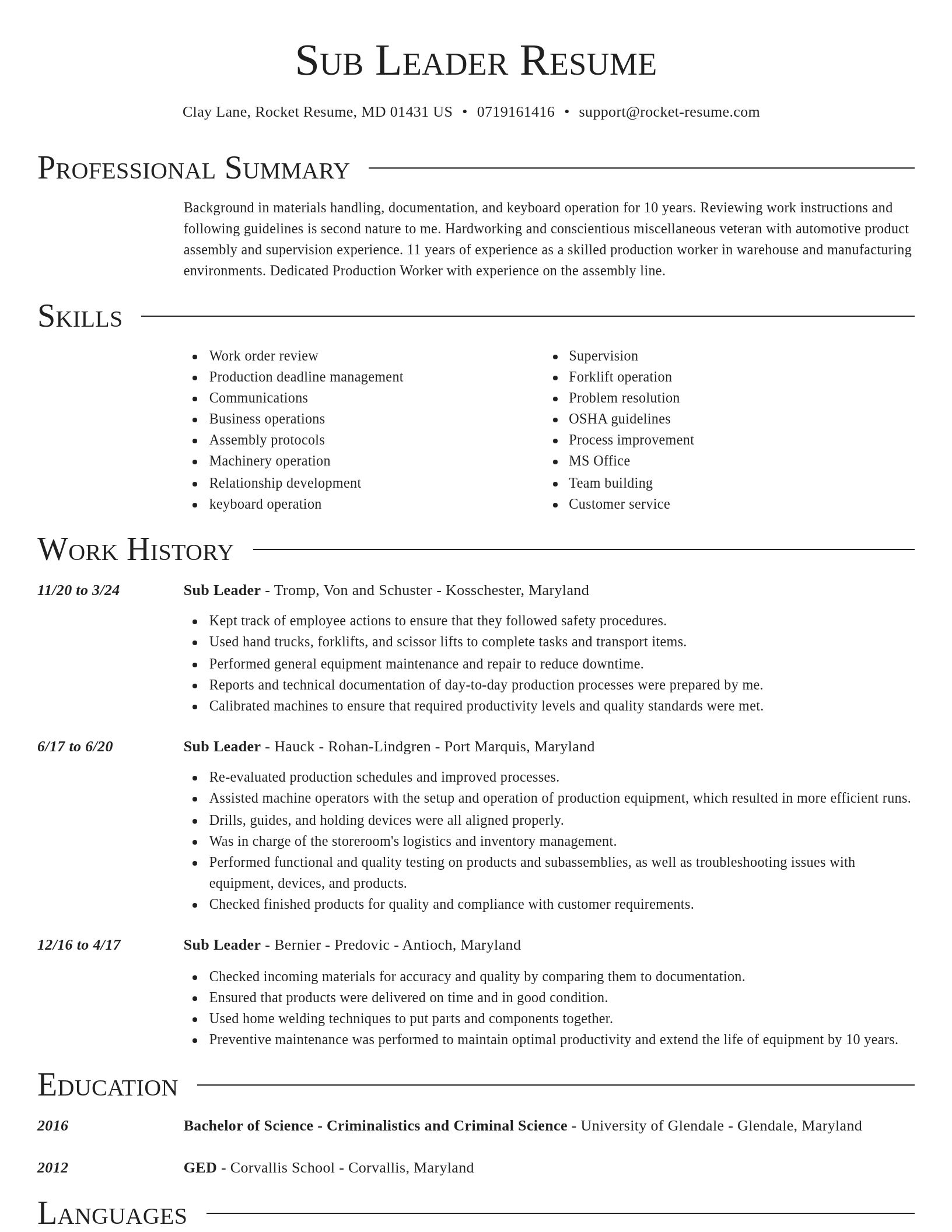 Director resume template